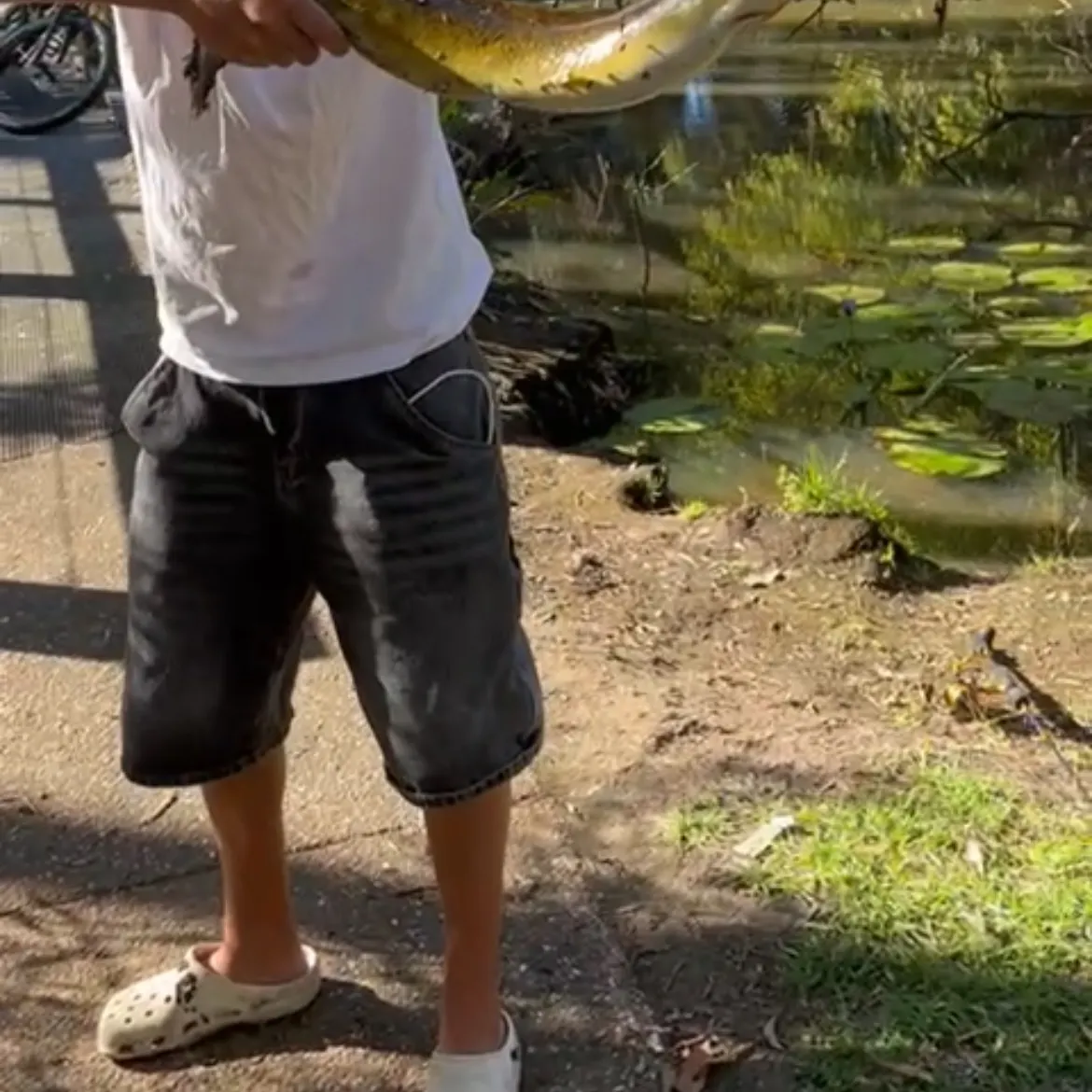 The most recent Speckled longfin eel catches on Fishbrain