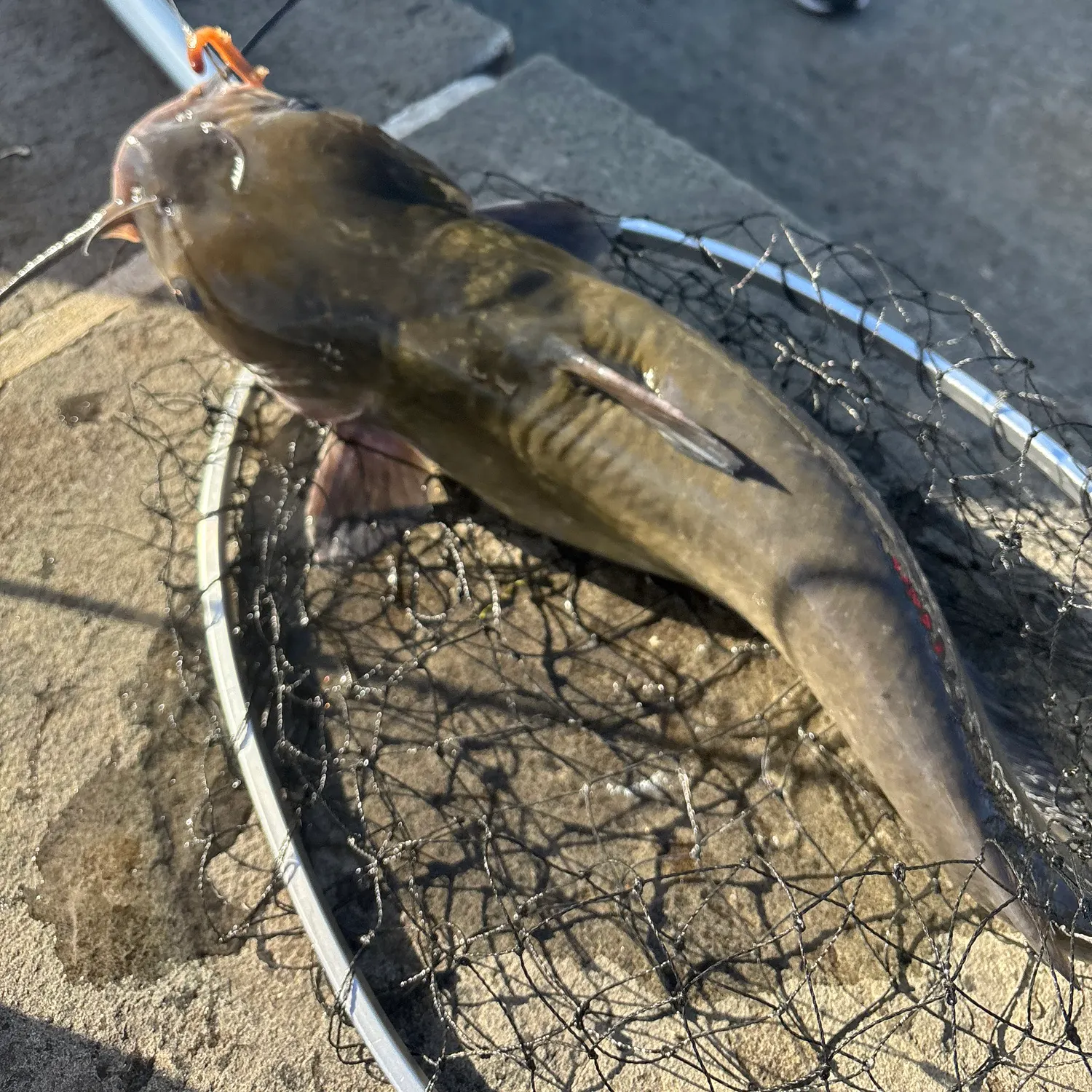 catch