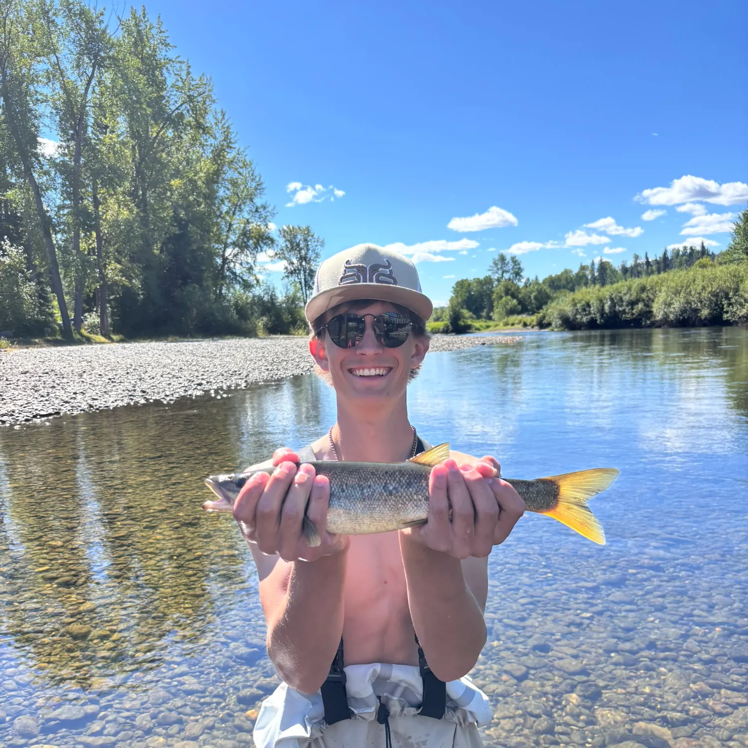 Northern pikeminnow caught on Fishbrain