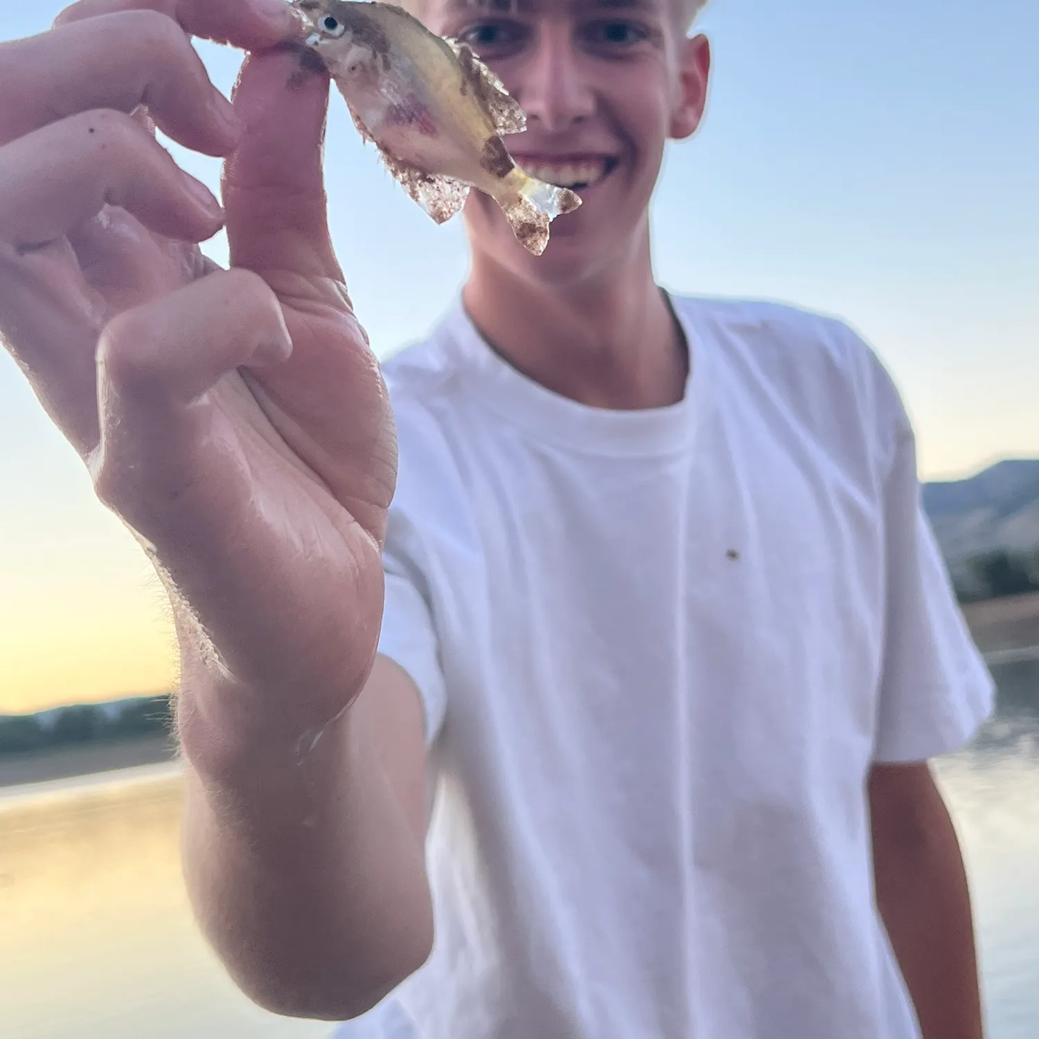 Bull shark caught on Fishbrain