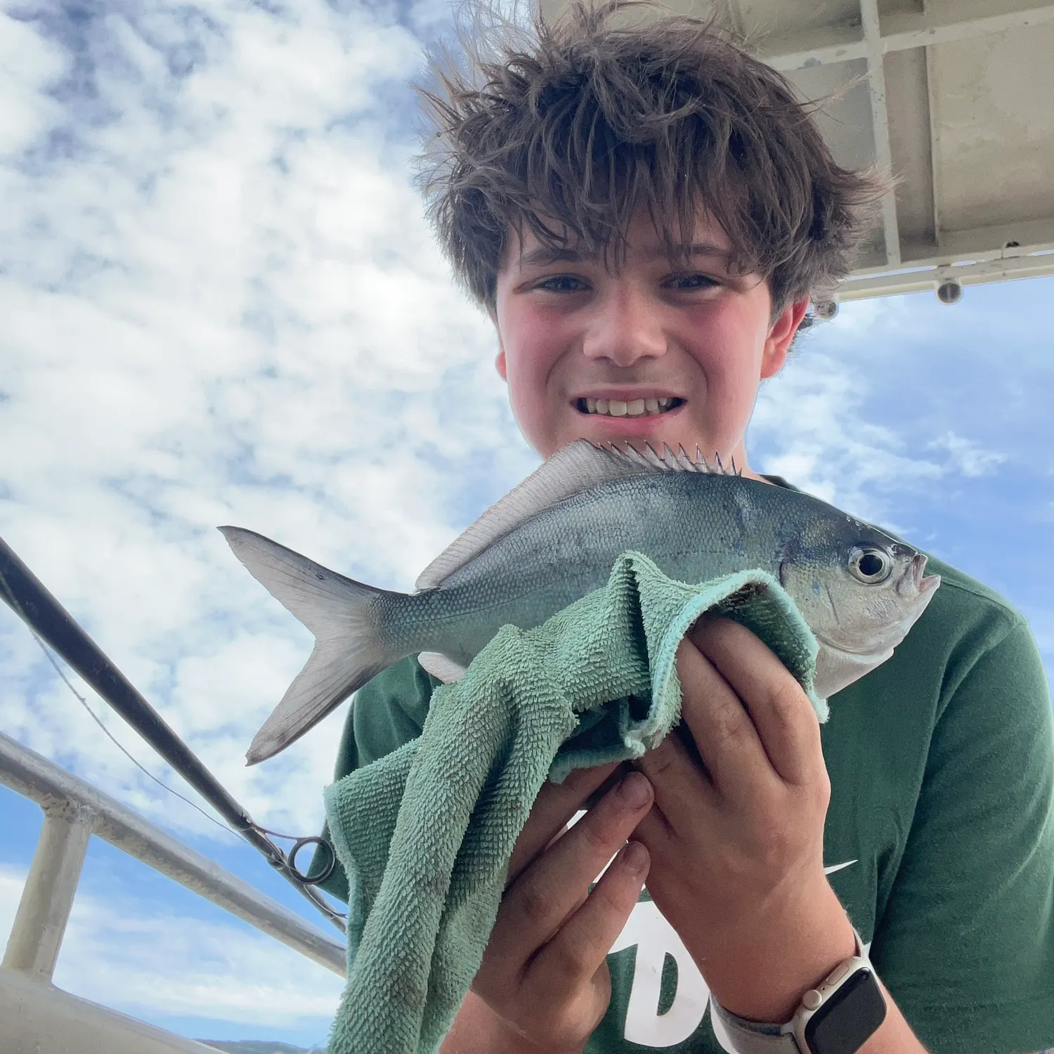 The most recent Bluenose warehou catches on Fishbrain