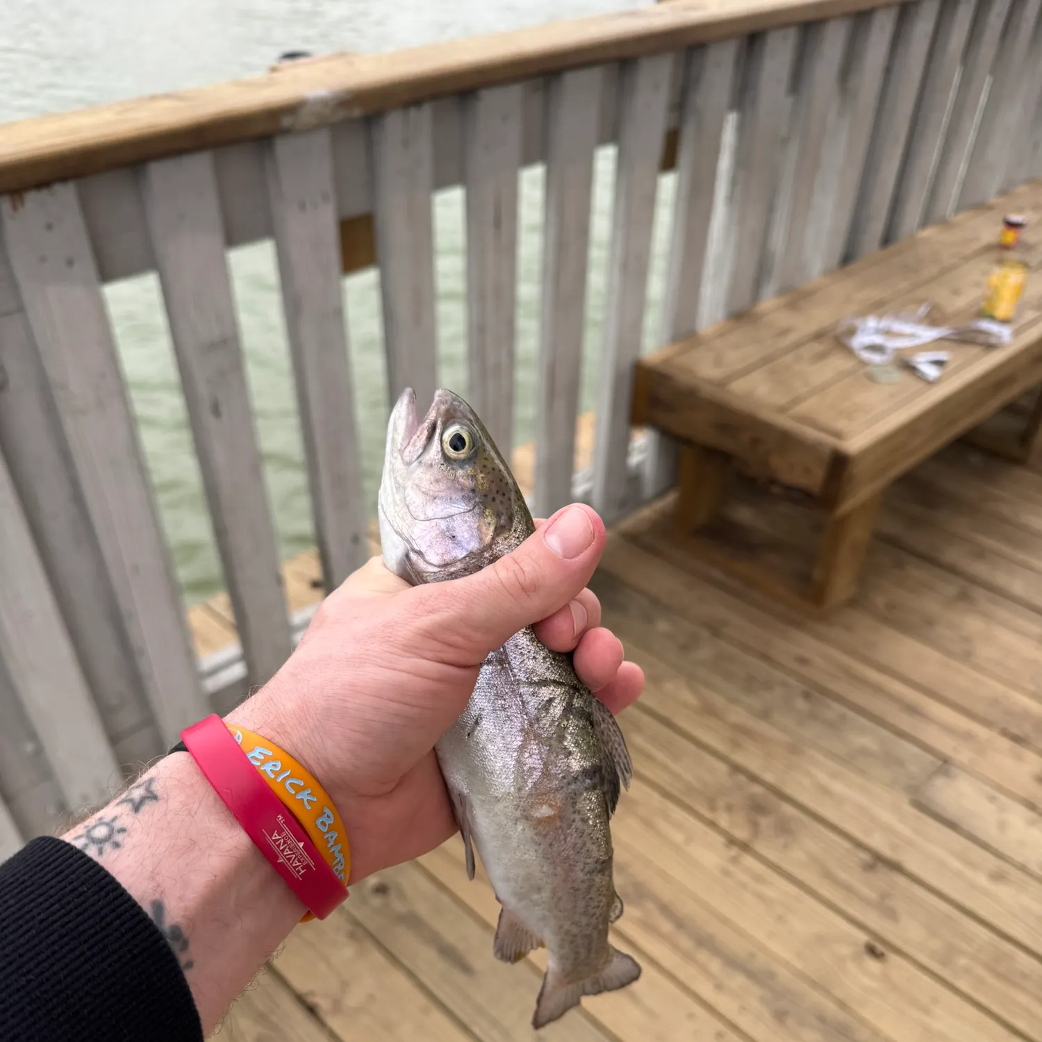 recently logged catches