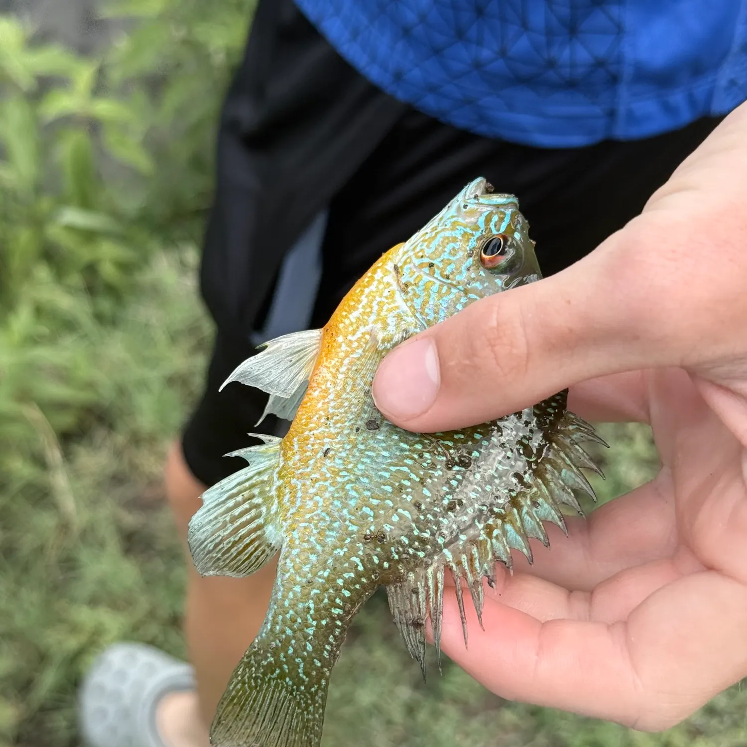 catch
