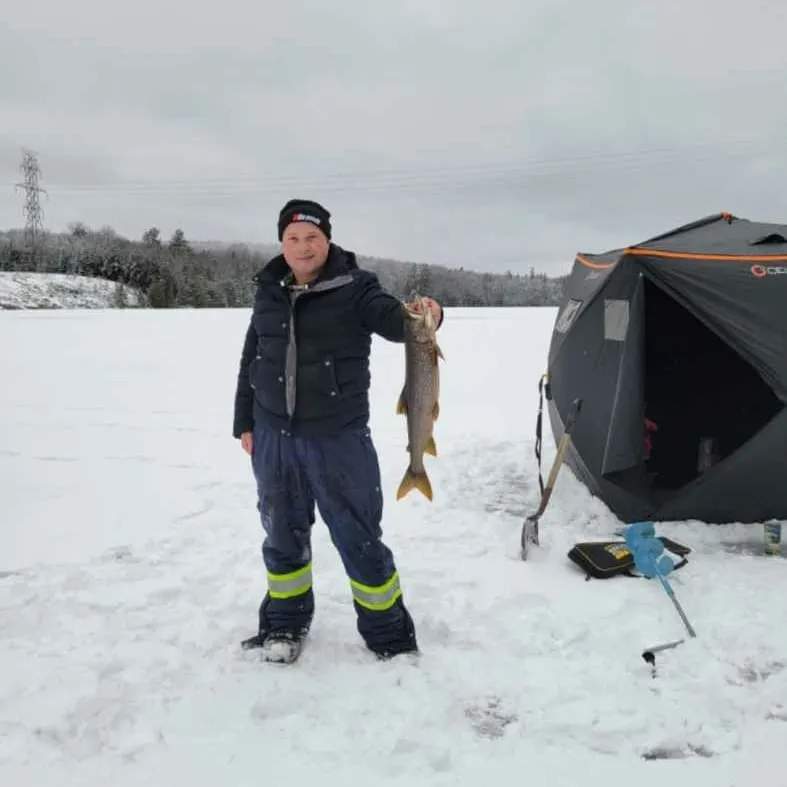 angler catch