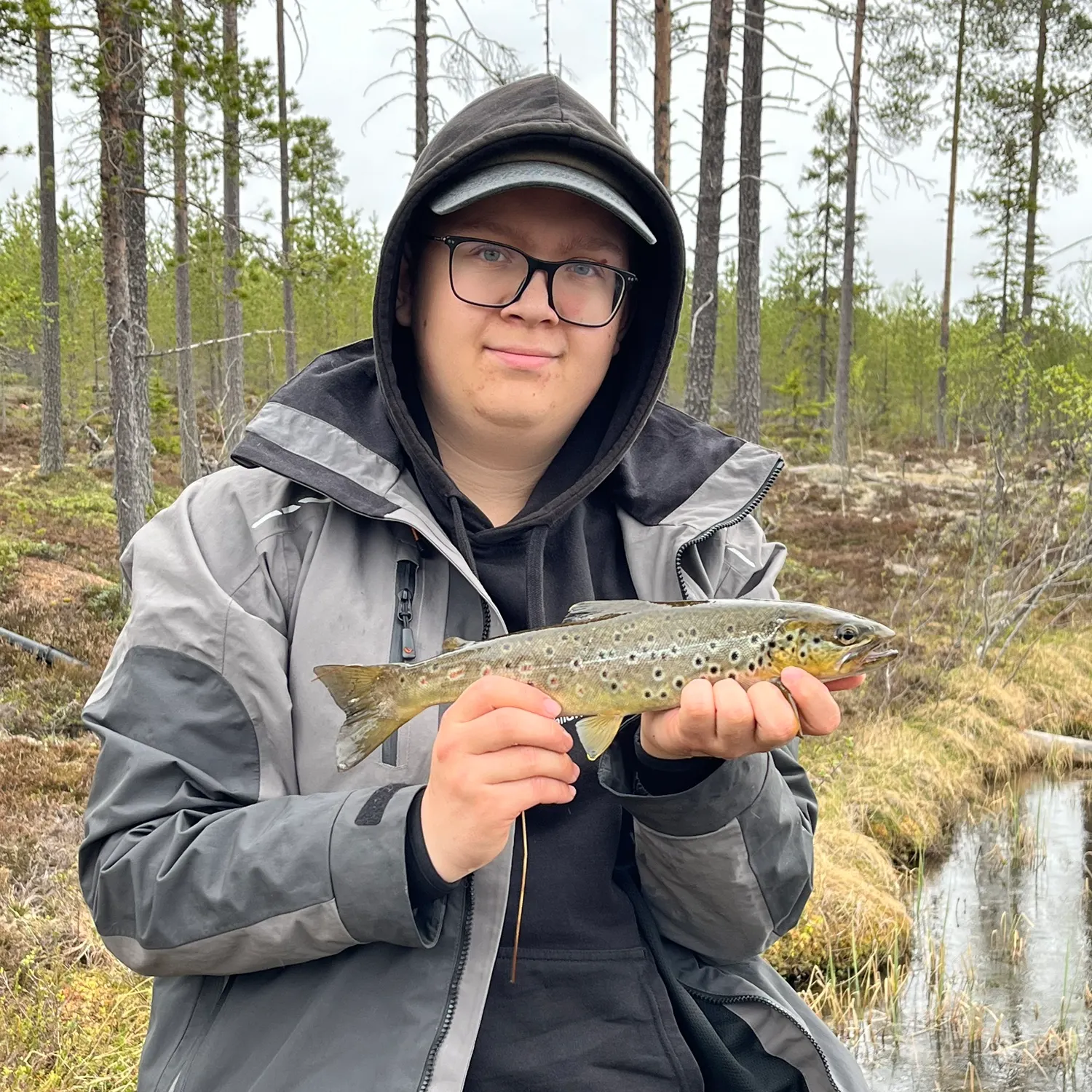 The most recent Lake trout catches on Fishbrain