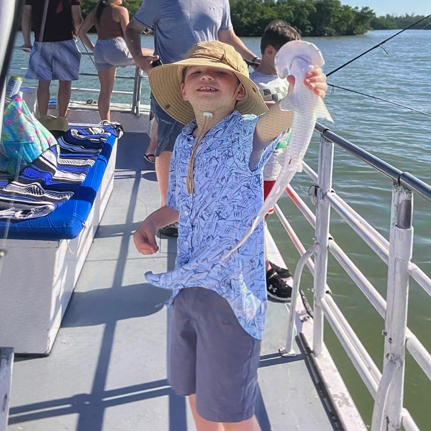 Bonnethead shark caught on Fishbrain