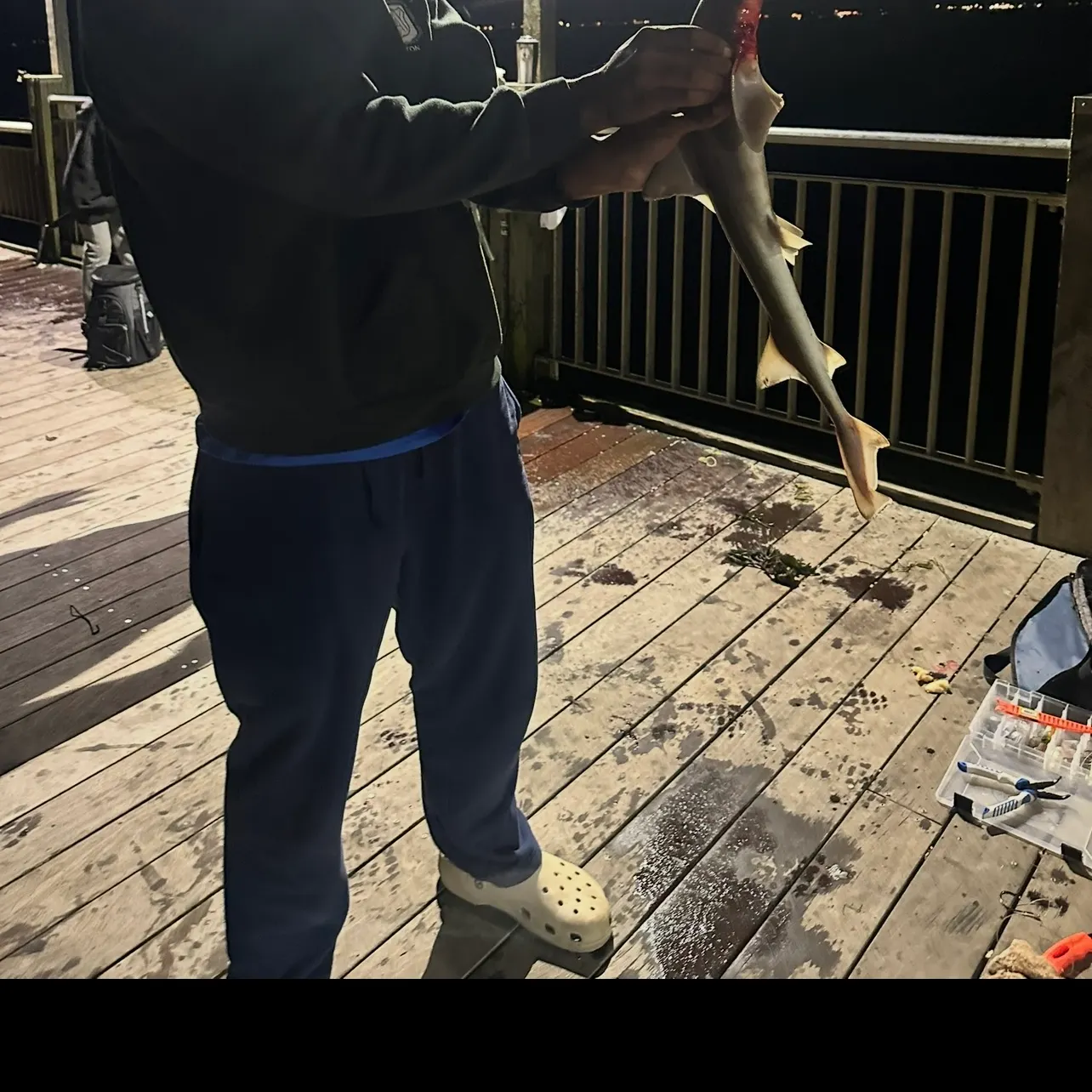 The most recent Pacific spiny dogfish catches on Fishbrain