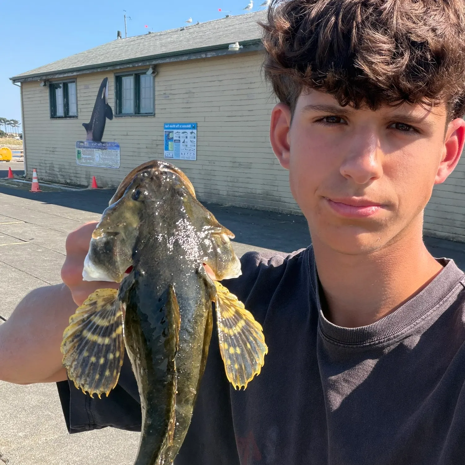 Pacific staghorn sculpin caught on Fishbrain