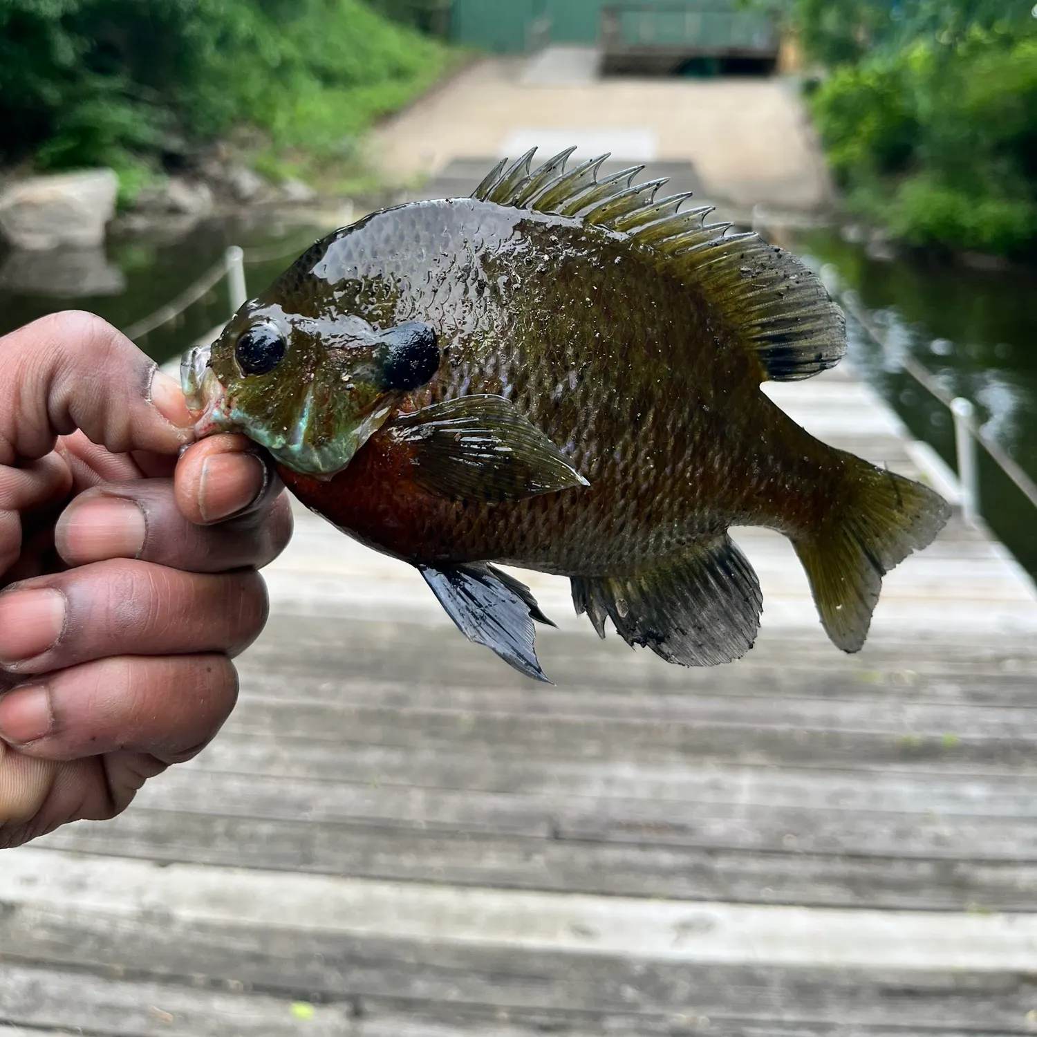 catch