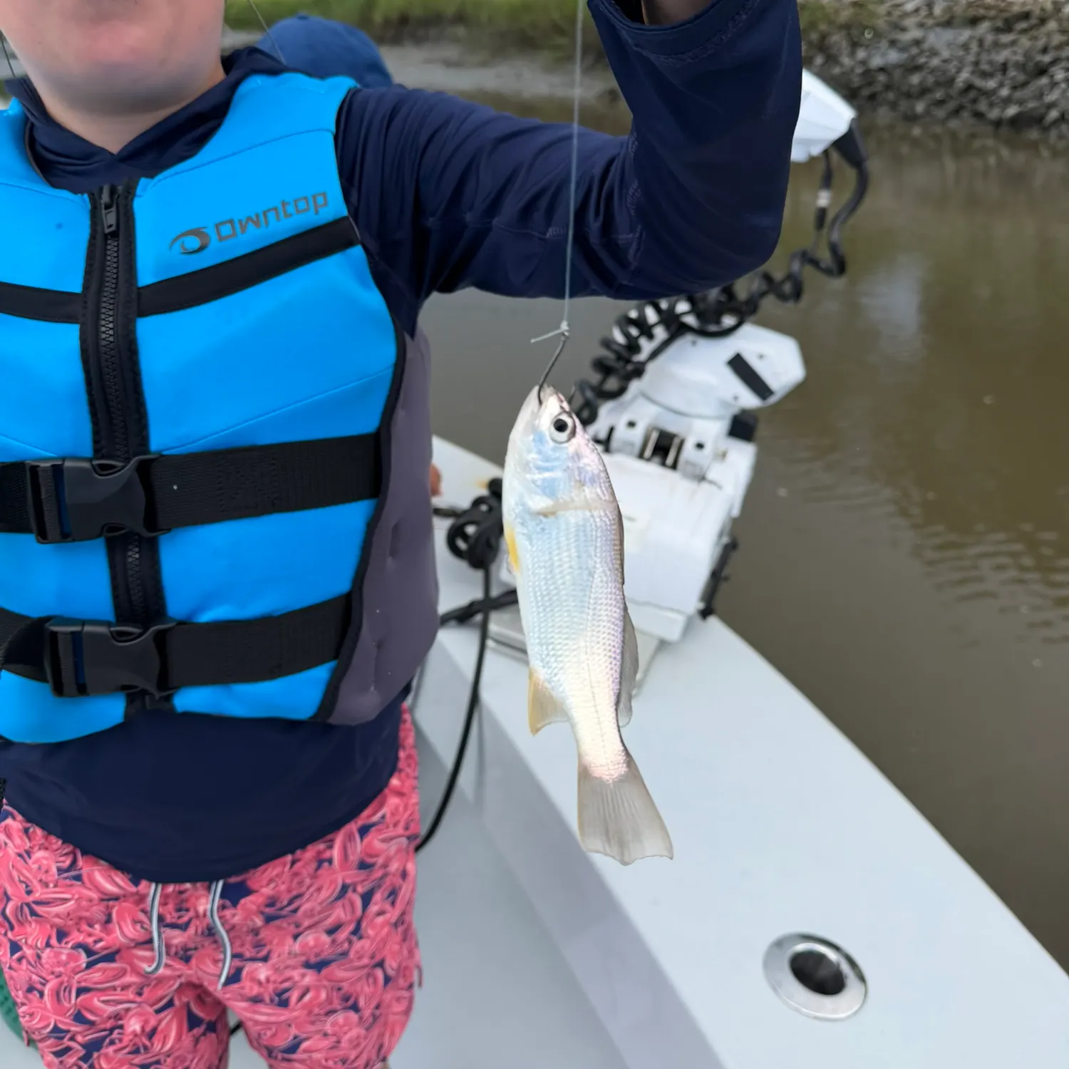 Silver perch caught on Fishbrain