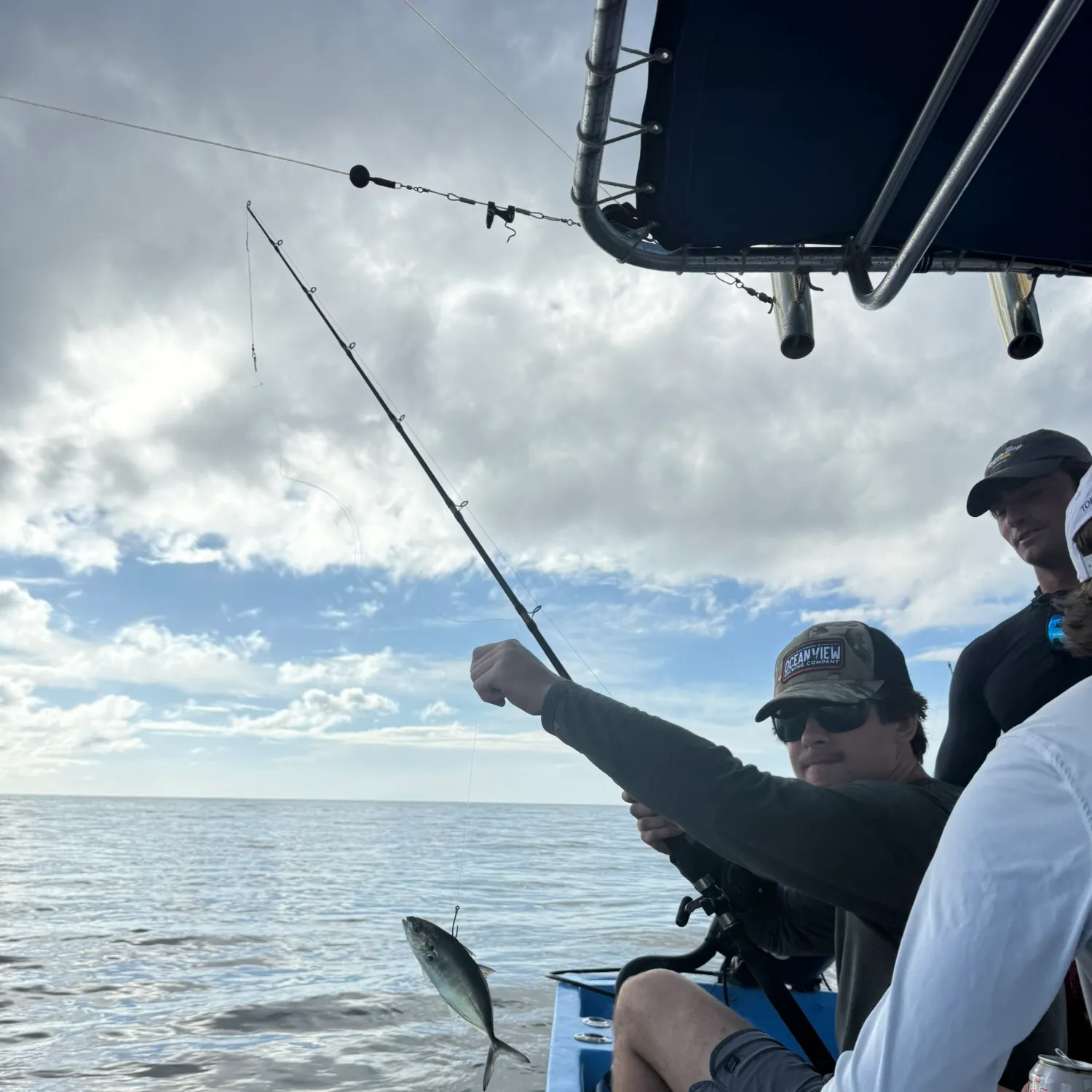 The most recent Wolf cichlid catches on Fishbrain