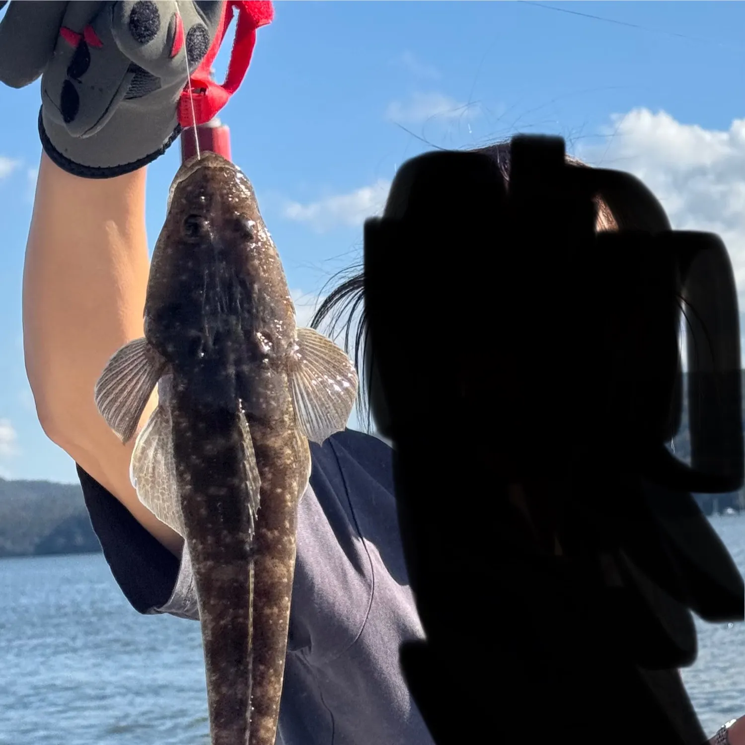 Dusky flathead caught on Fishbrain