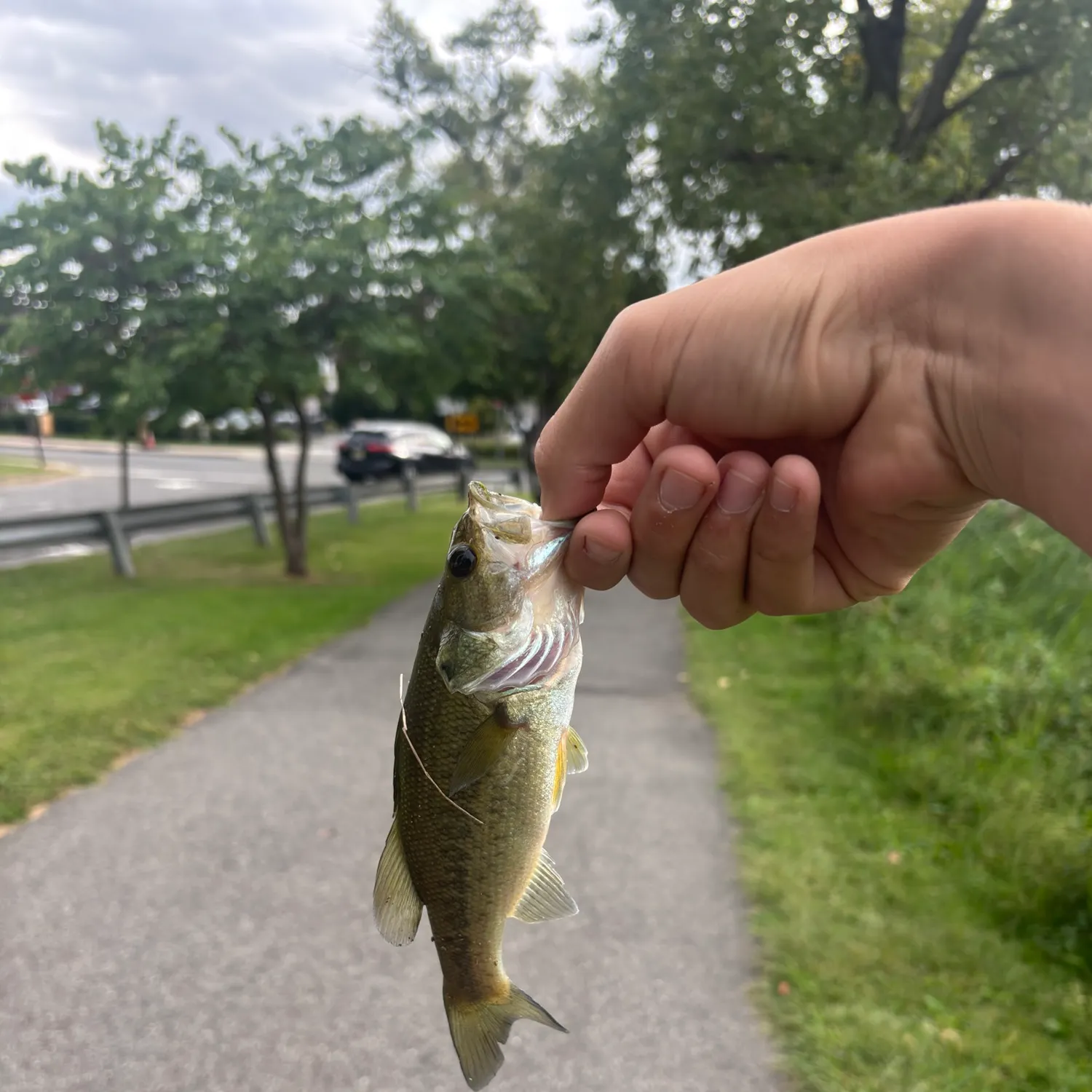 catch