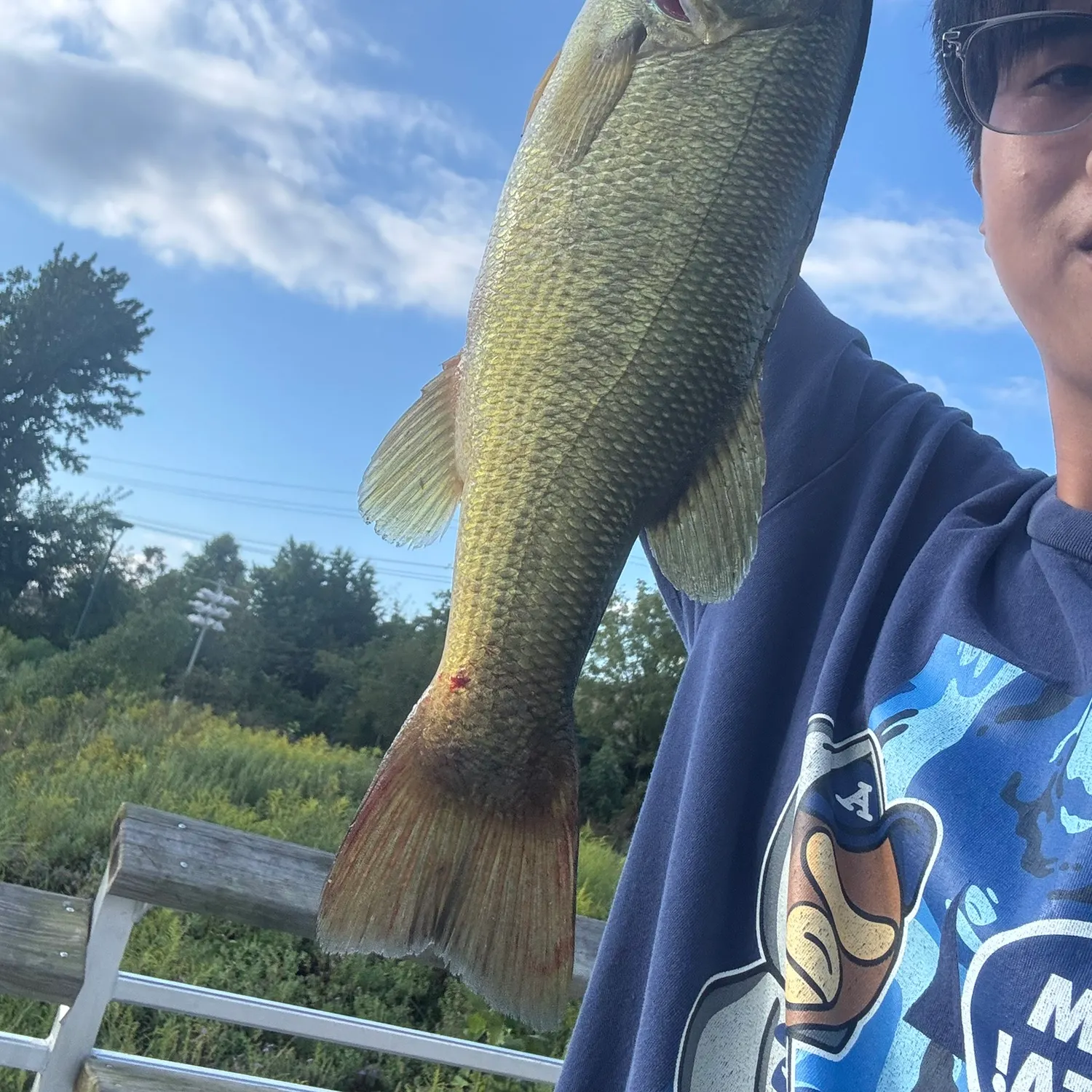 Largemouth bass caught on Fishbrain