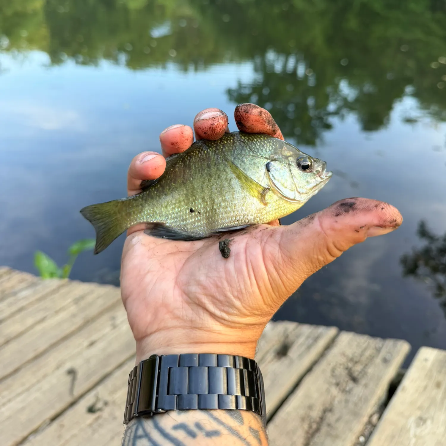 catch