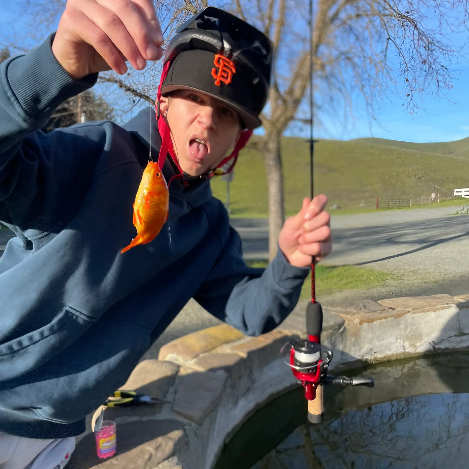 The most recent Goldfish catches on Fishbrain
