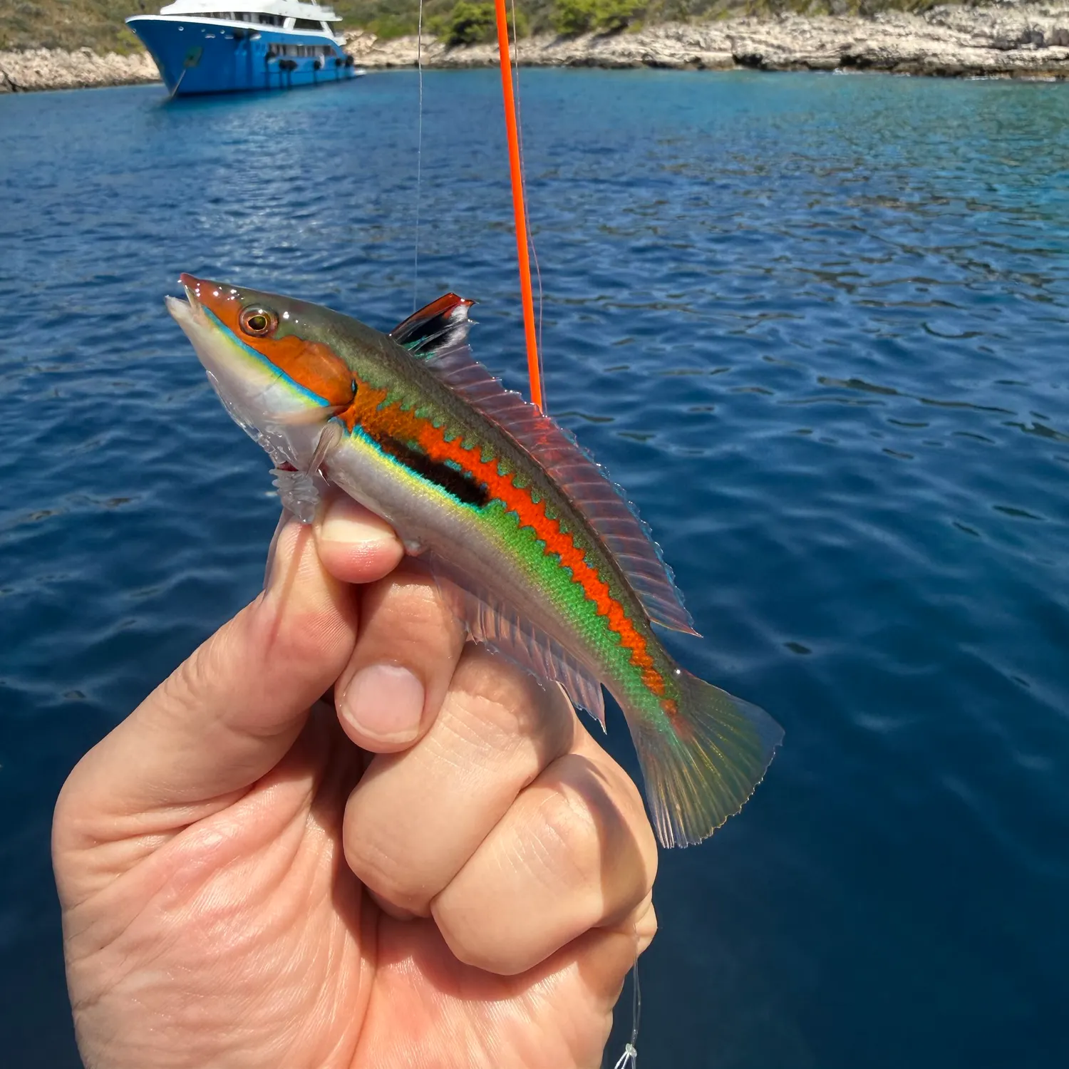 Fish caught on Fishbrain