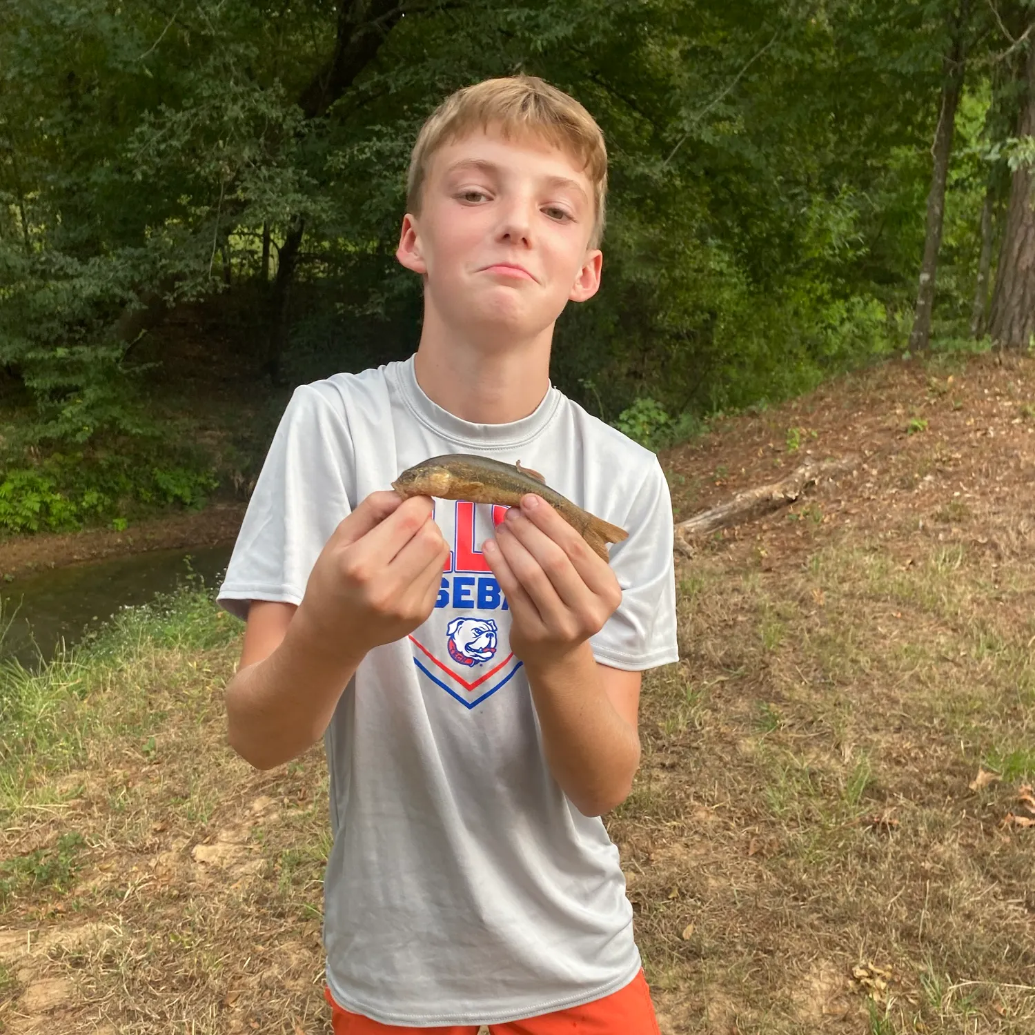 Creek chub caught on Fishbrain