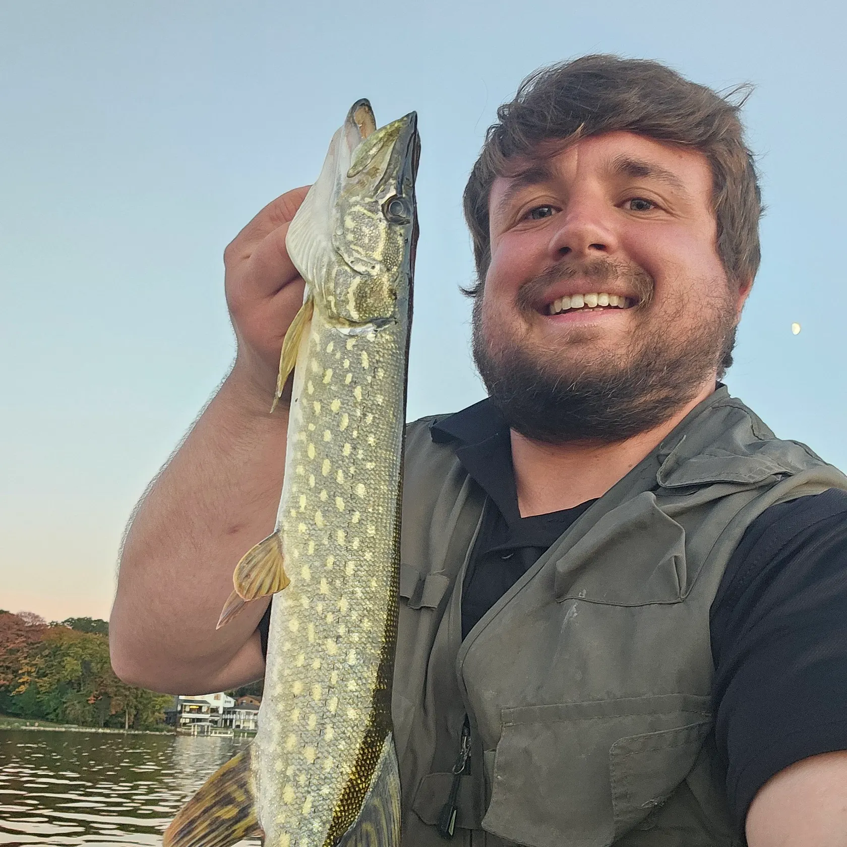 Northern pike caught on Fishbrain