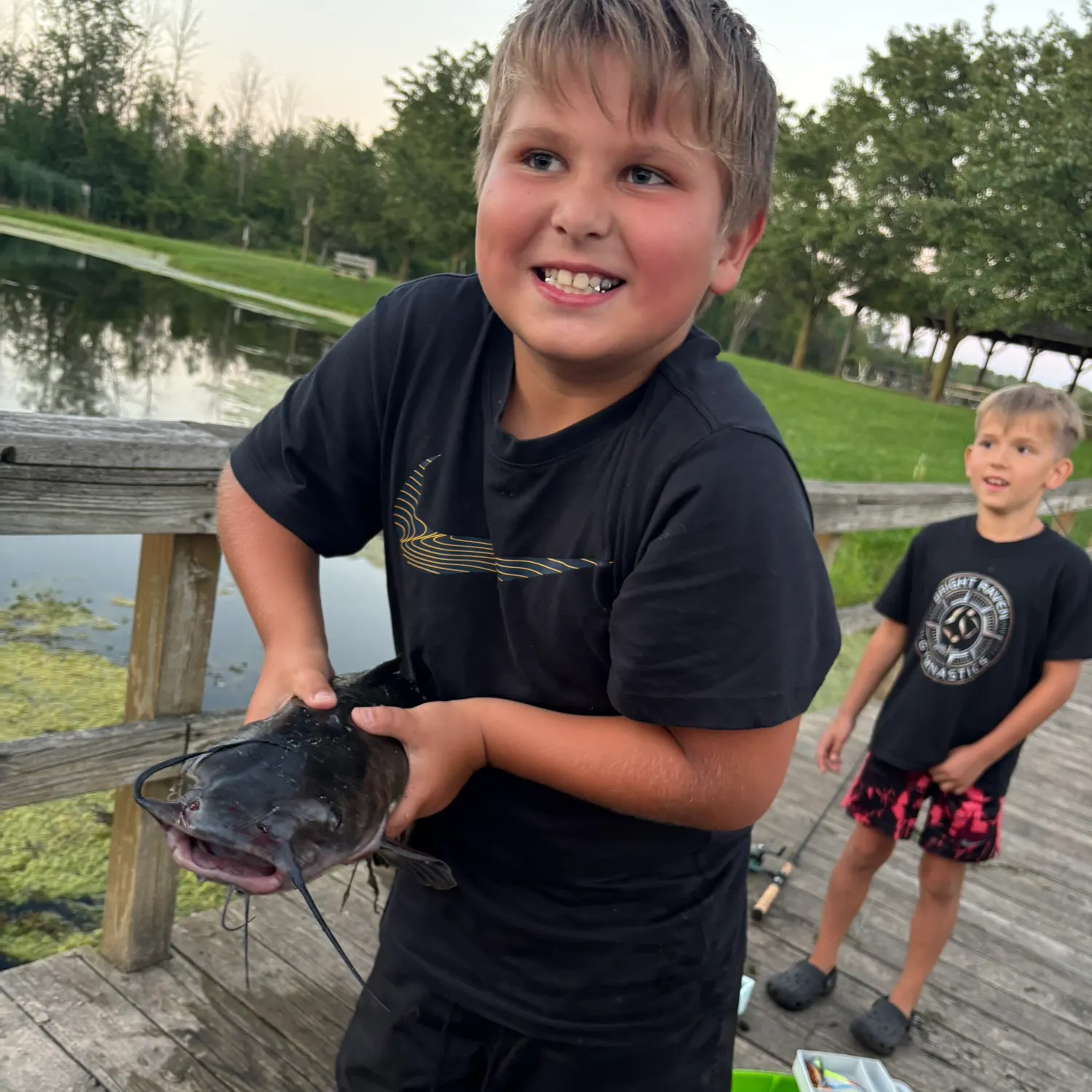 Channel catfish caught on Fishbrain