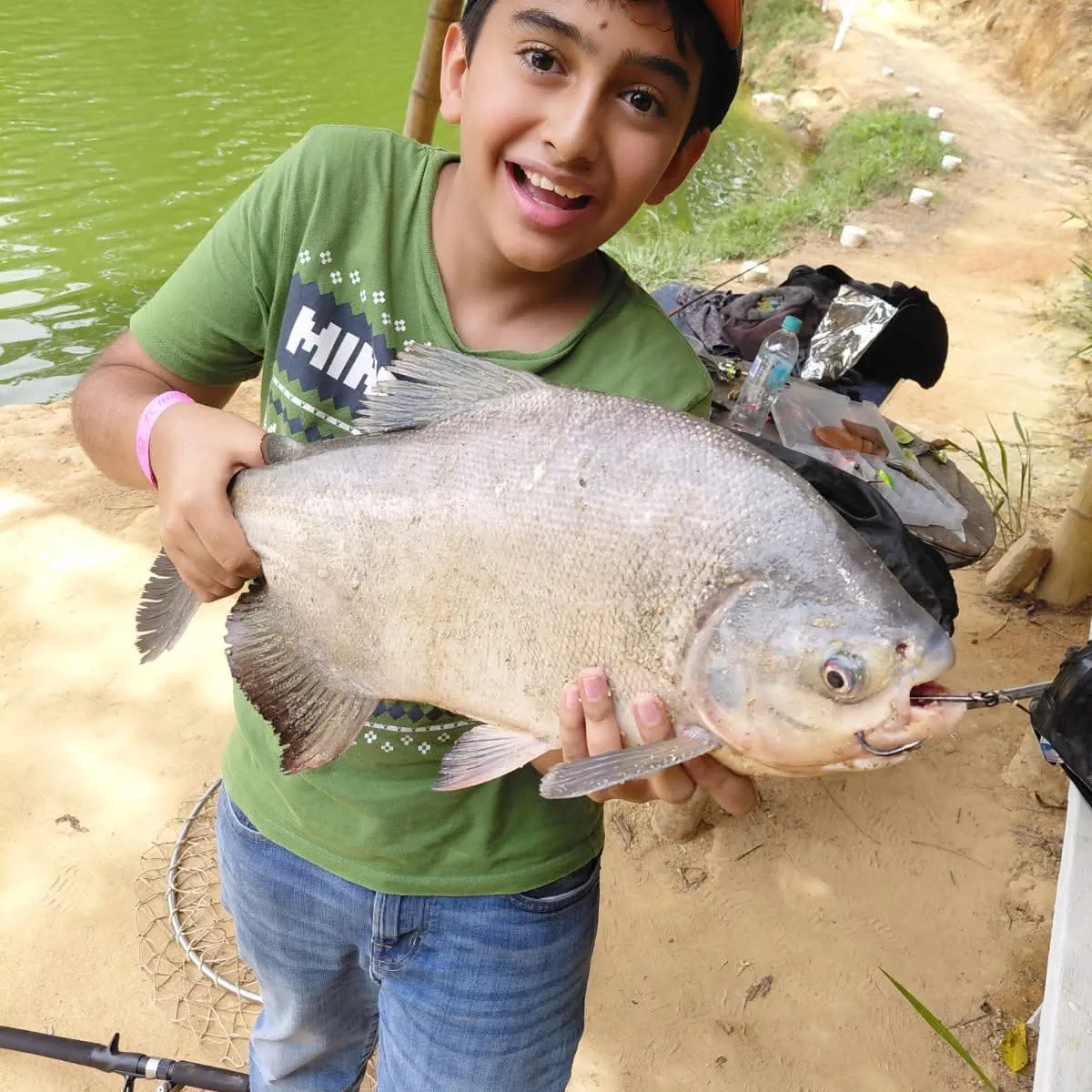 Black pacu caught on Fishbrain