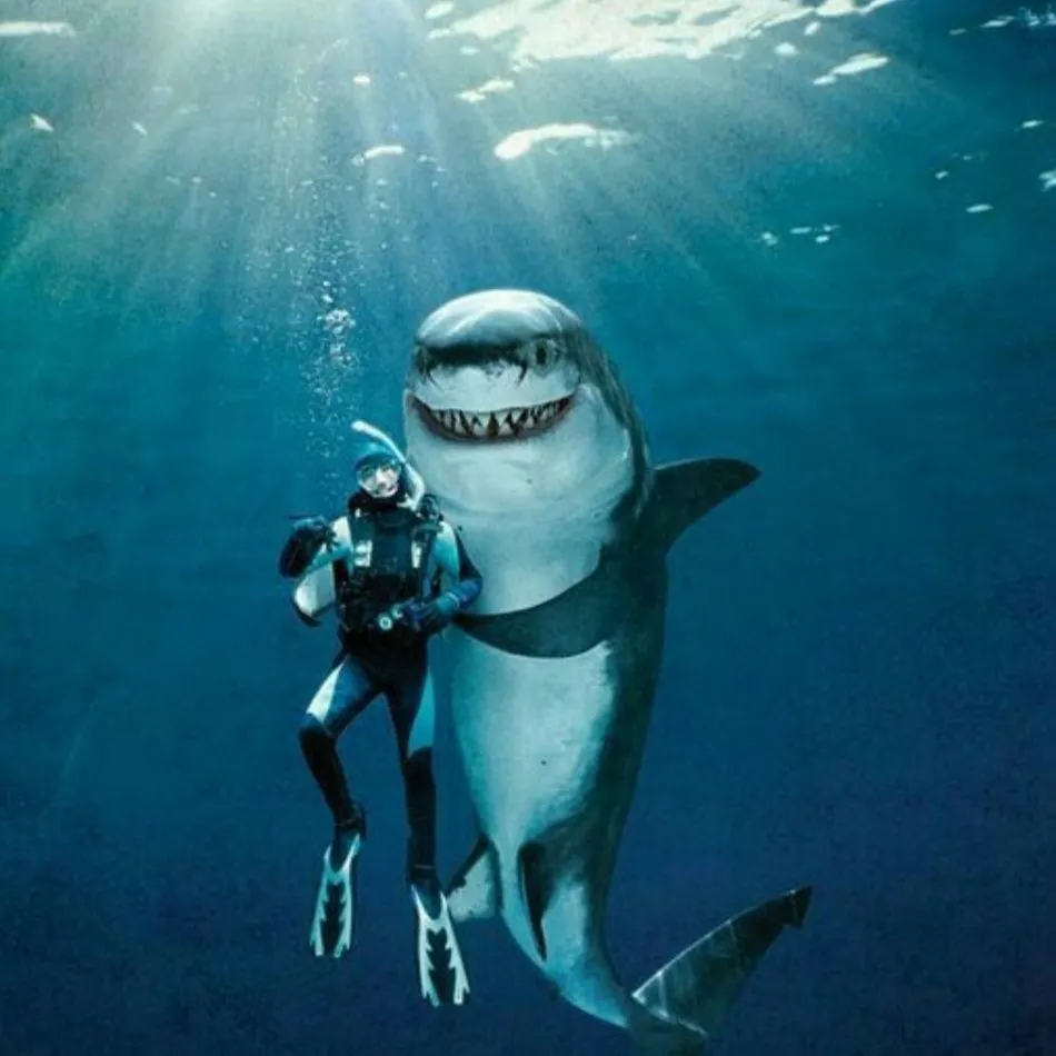 The most recent Great white shark catches on Fishbrain