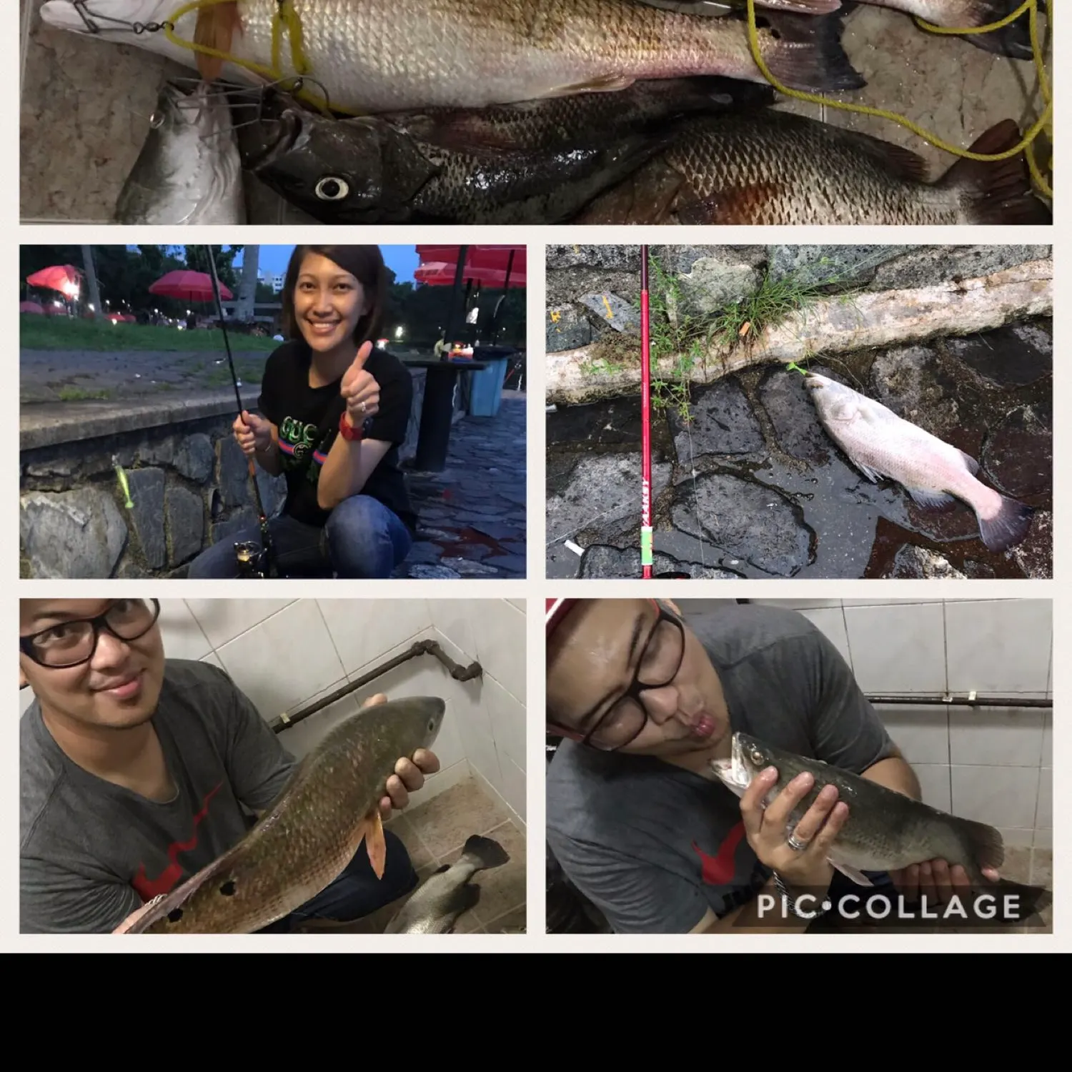 recently logged catches