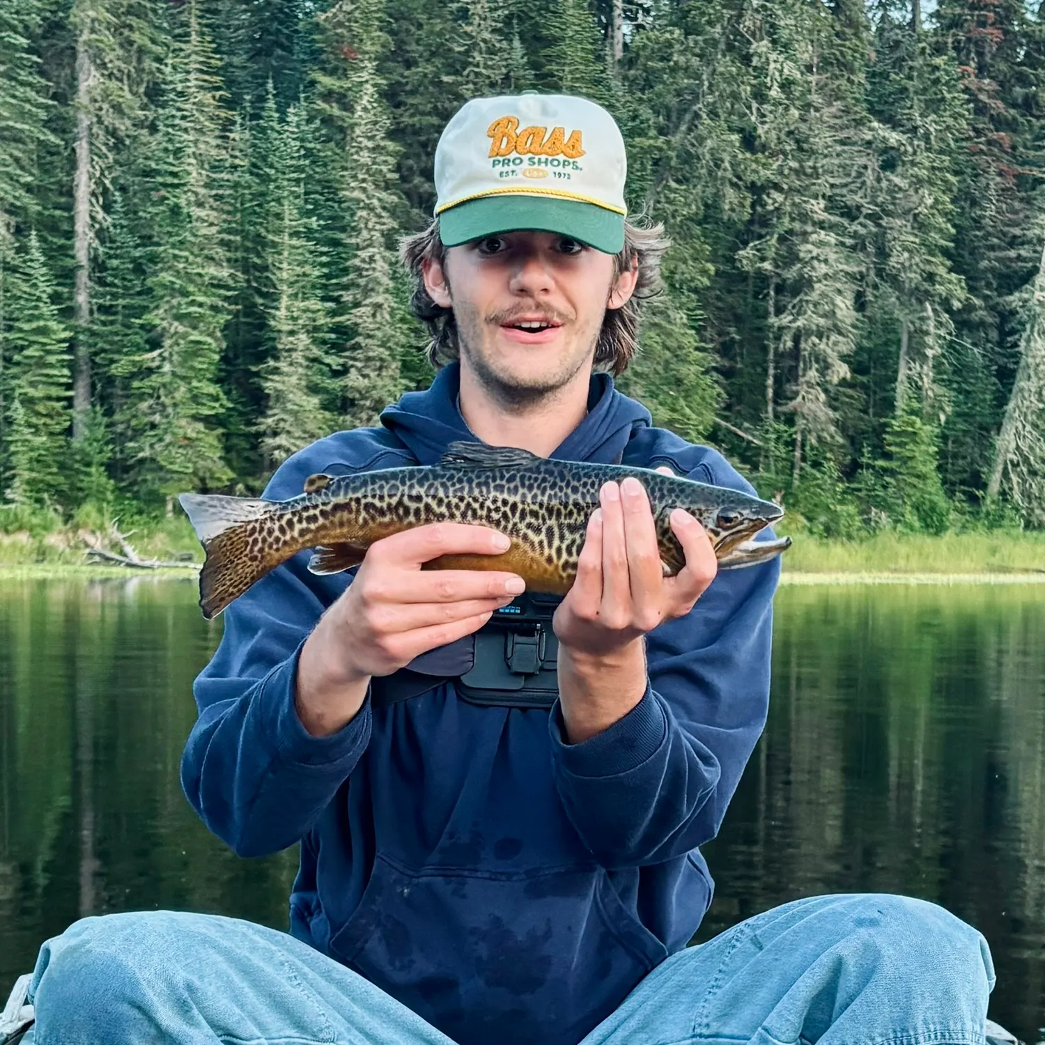 Tiger trout caught on Fishbrain