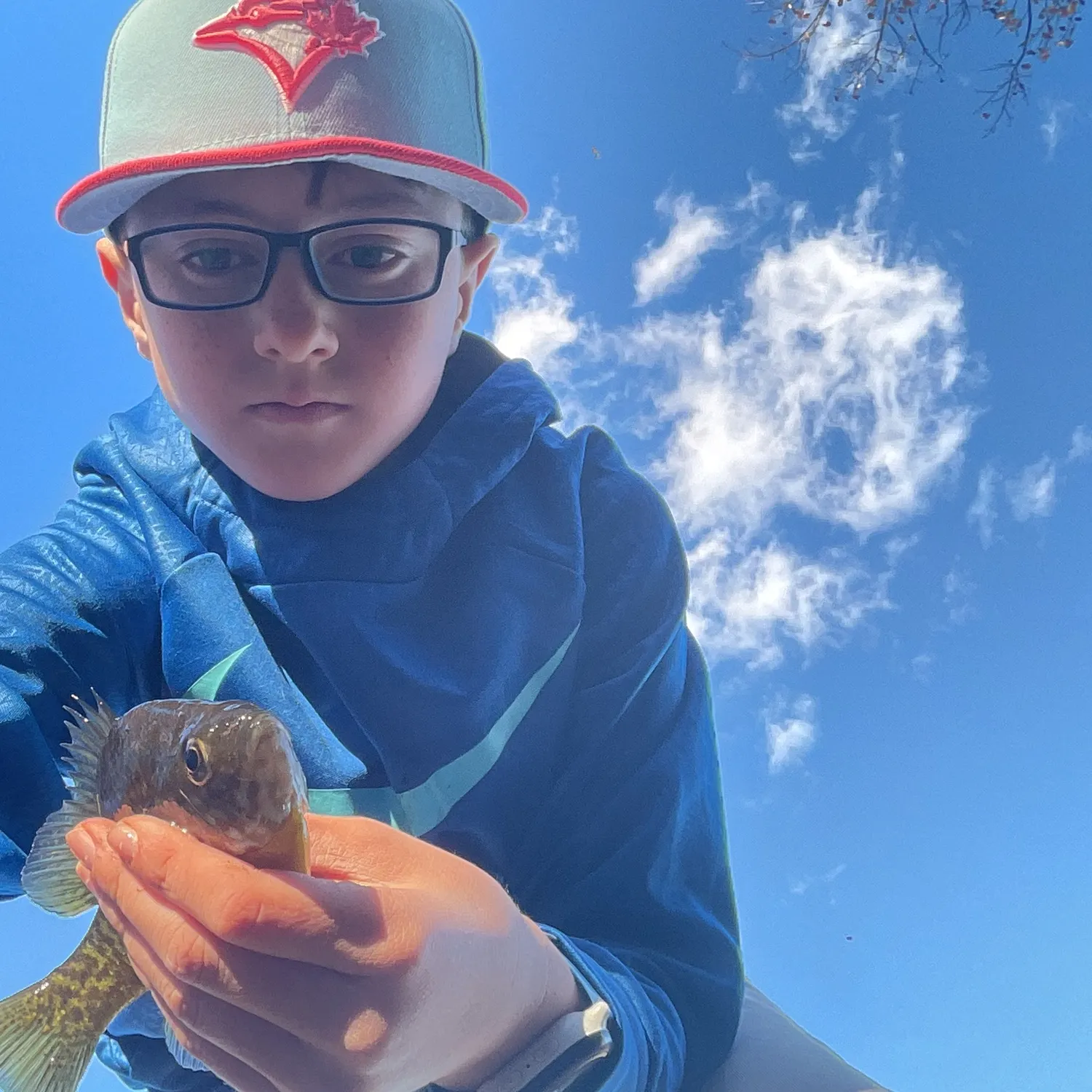 The most recent Pumpkinseed x green sunfish catches on Fishbrain