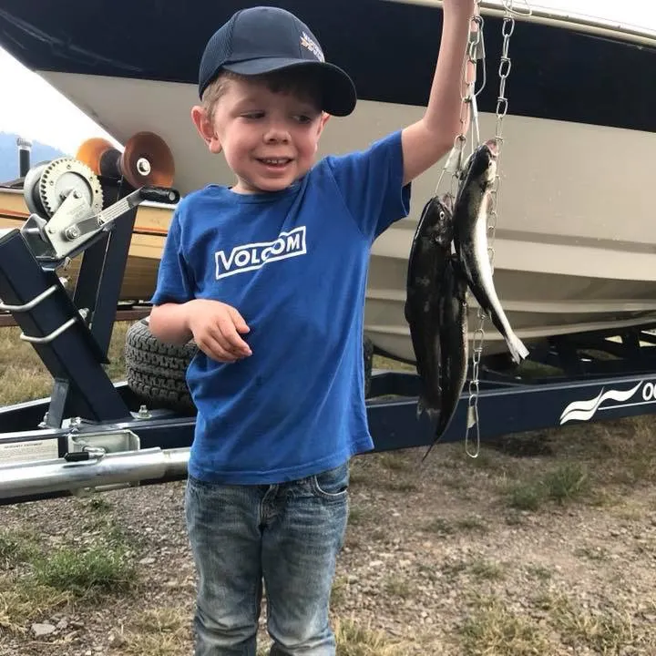Rainbow trout caught on Fishbrain