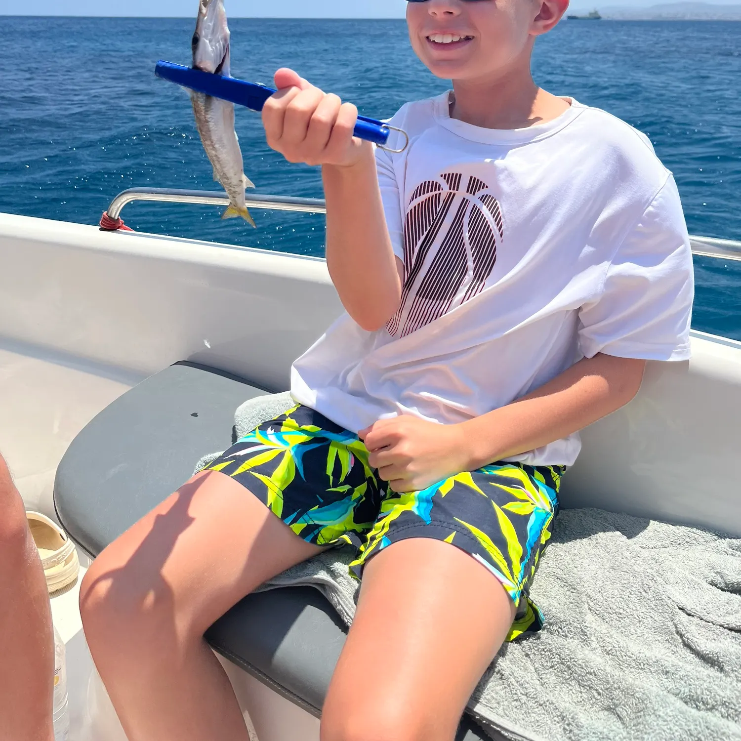The most recent Obtuse barracuda catches on Fishbrain