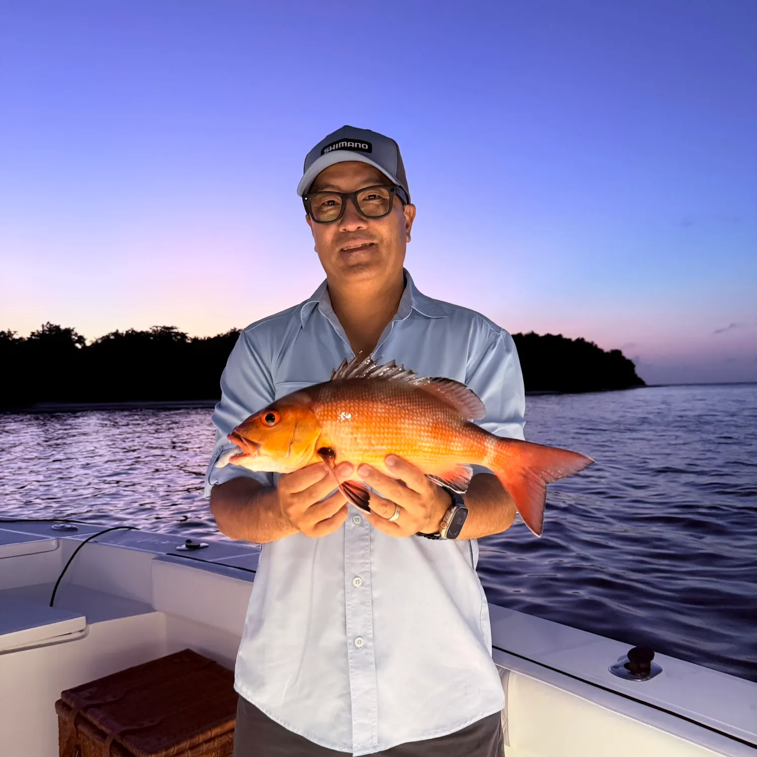 The most recent Blackfin snapper catches on Fishbrain