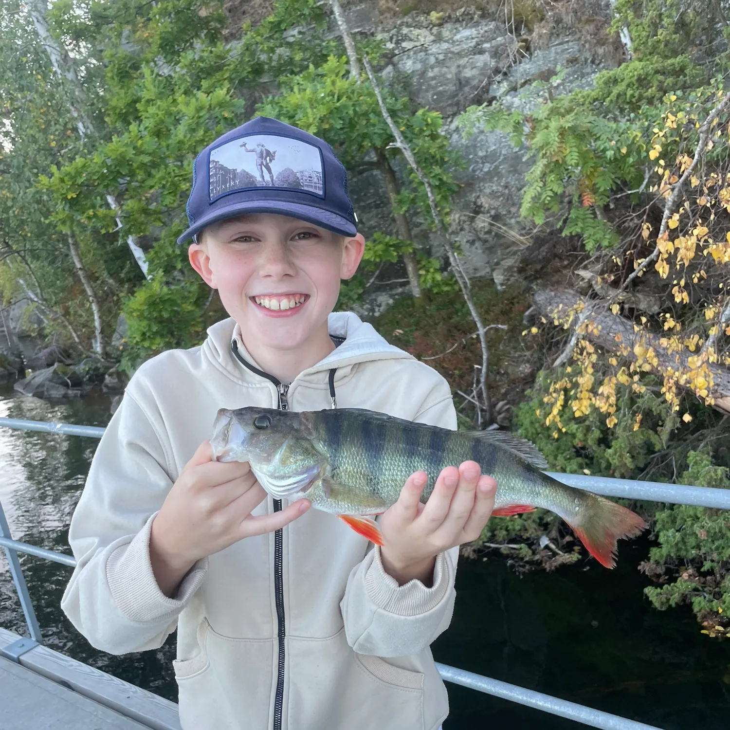 European perch caught on Fishbrain