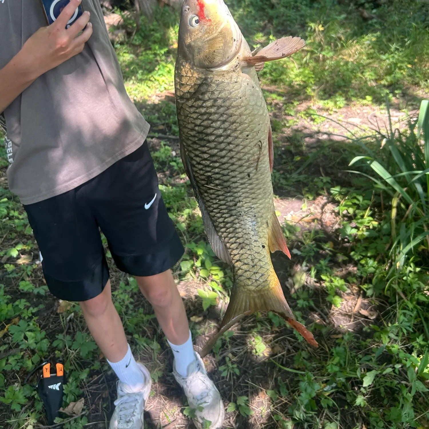 catch