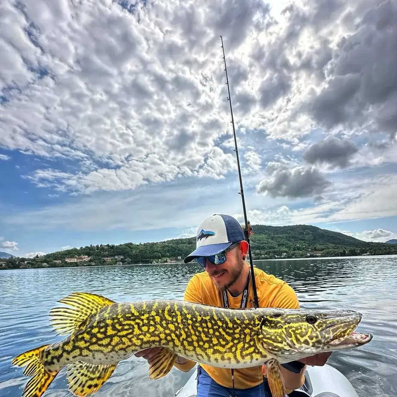 Northern pike caught on Fishbrain