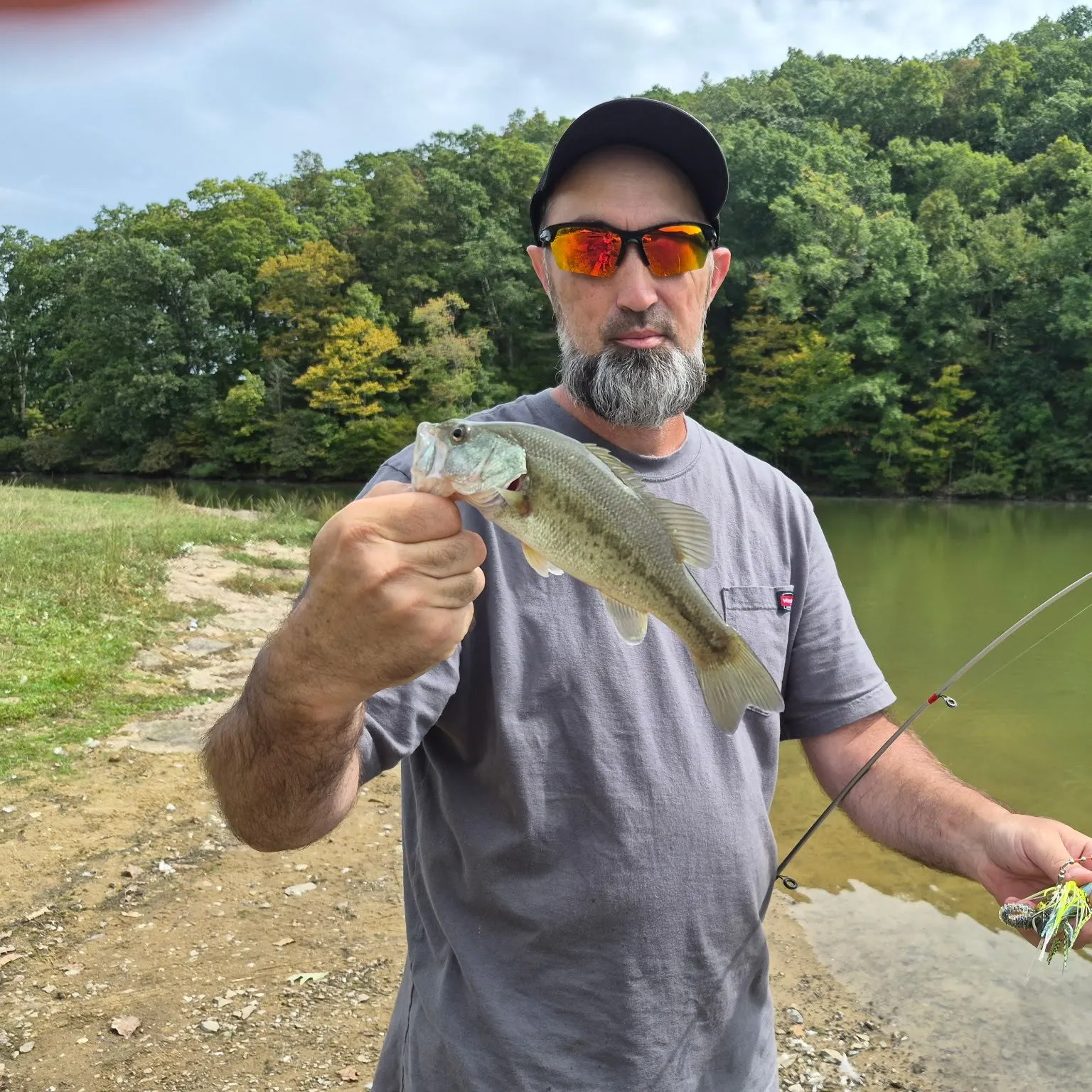 Largemouth bass caught on Fishbrain