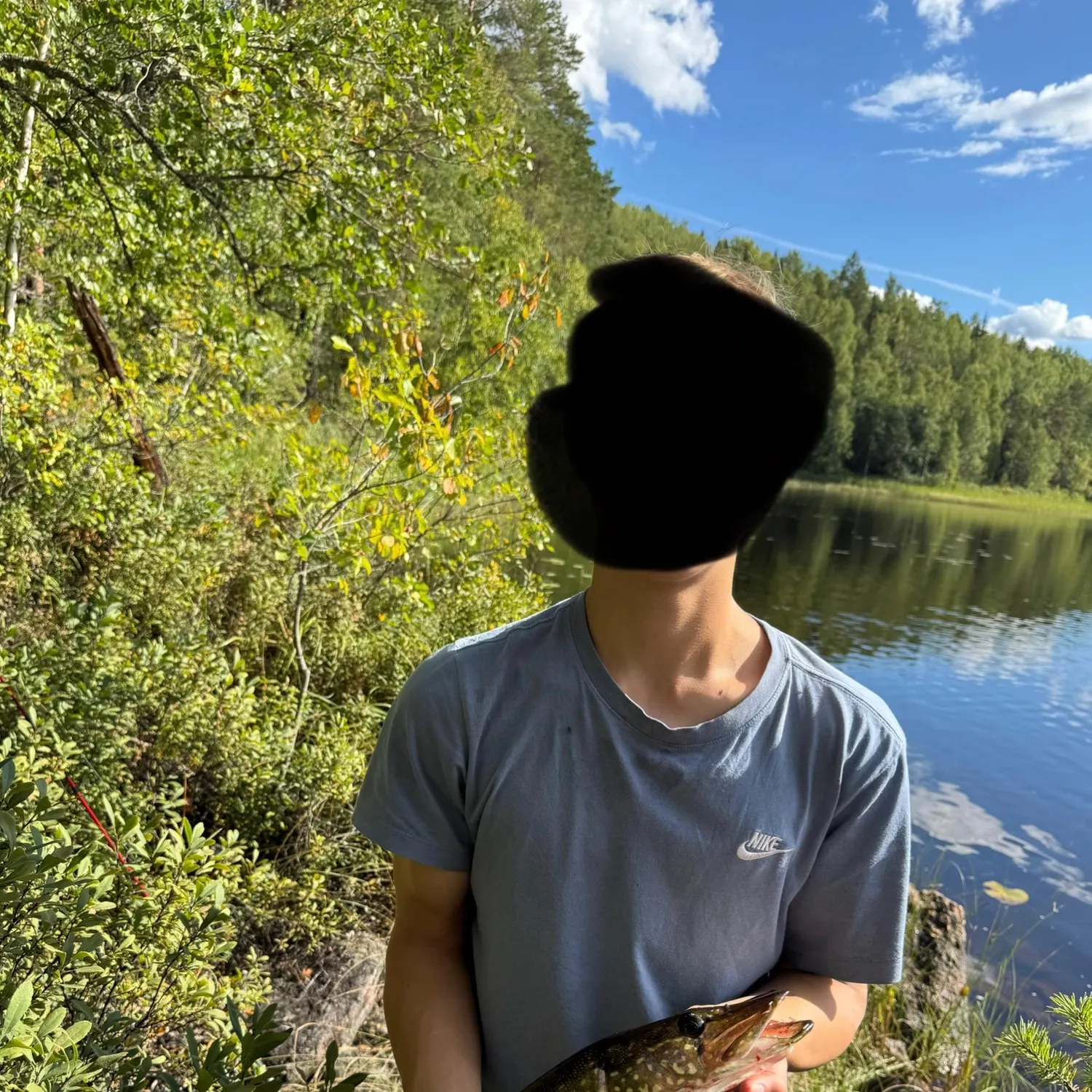 Northern pike caught on Fishbrain
