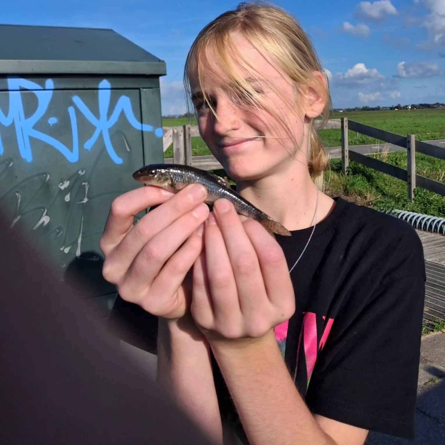 Gudgeon caught on Fishbrain