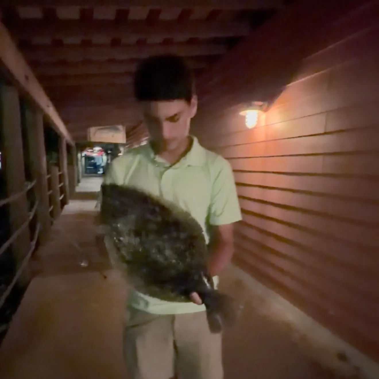 Red drum caught on Fishbrain