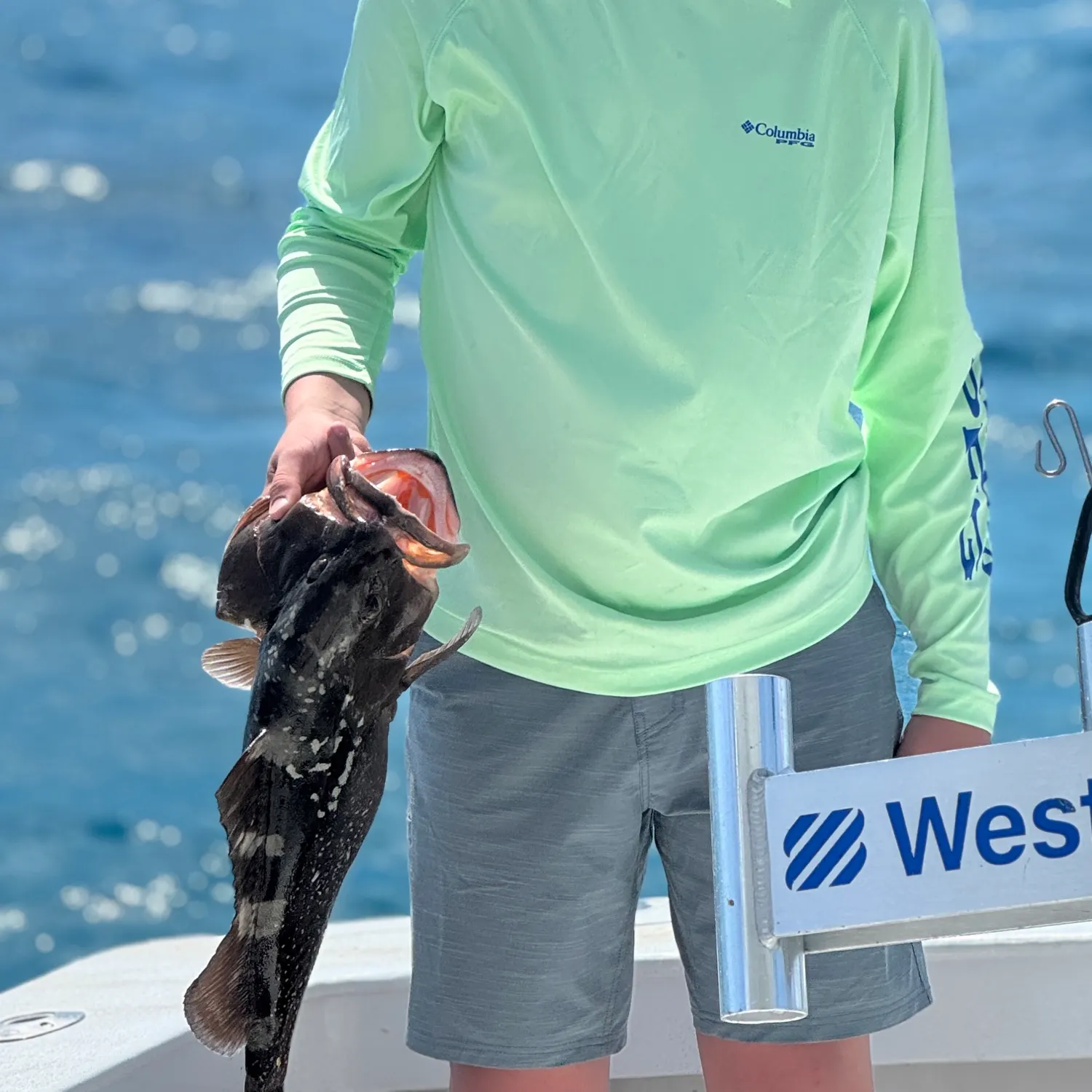 The most recent Black grouper catches on Fishbrain