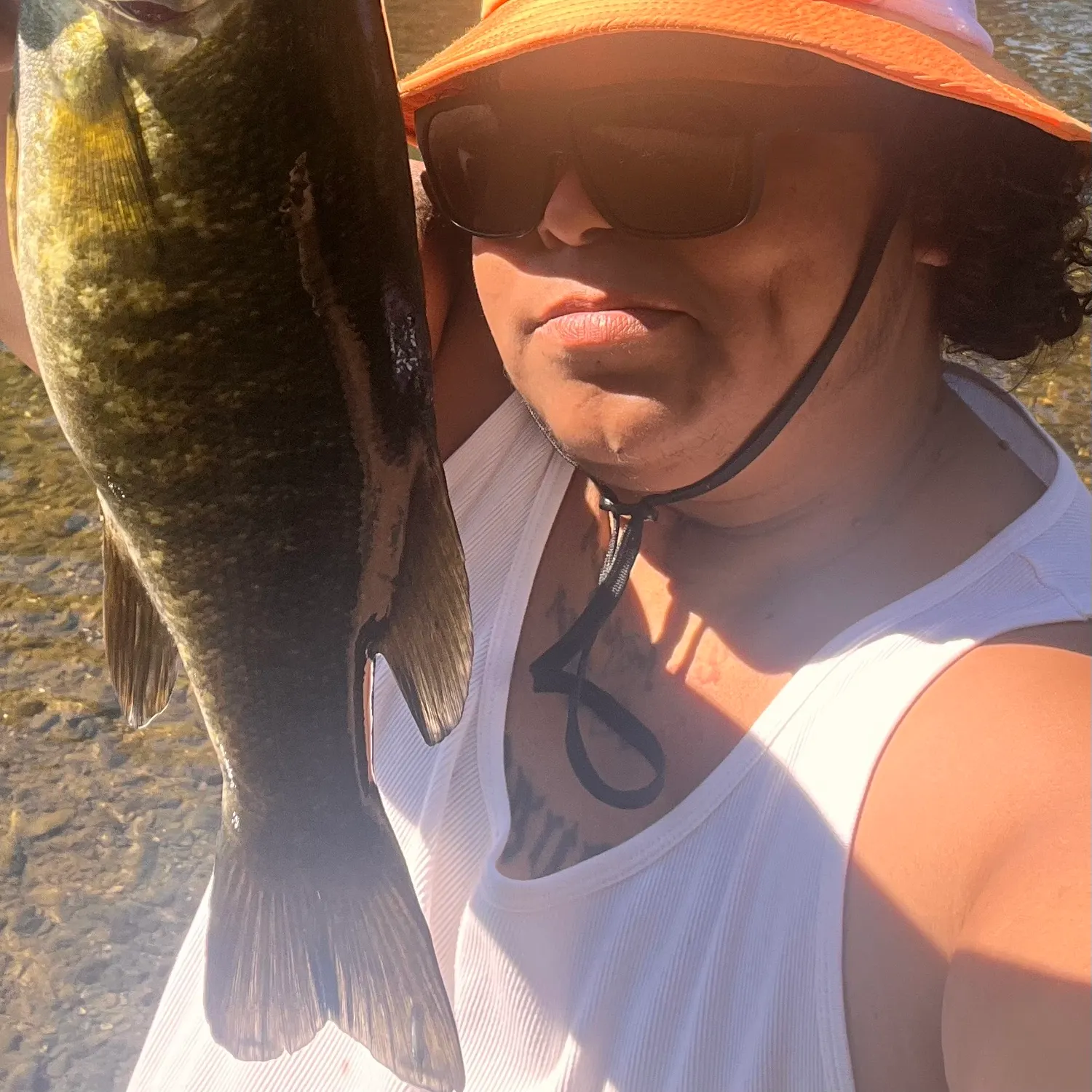 Smallmouth bass caught on Fishbrain