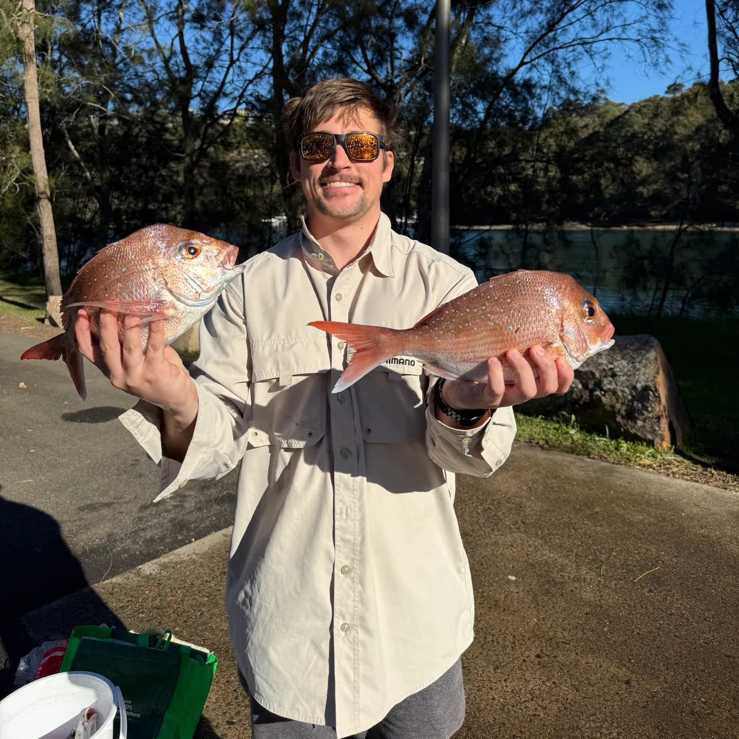 The most recent Australasian snapper catches on Fishbrain