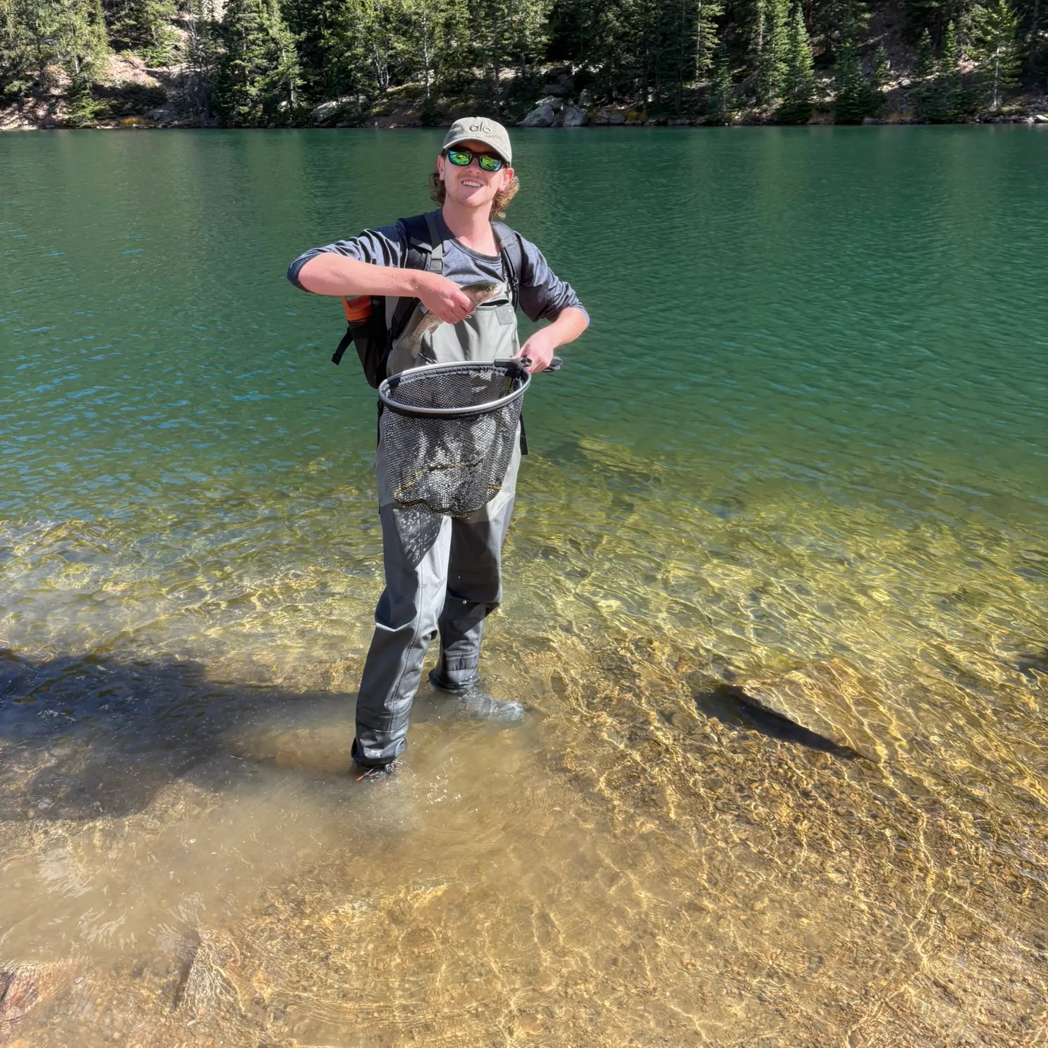 Rainbow trout caught on Fishbrain