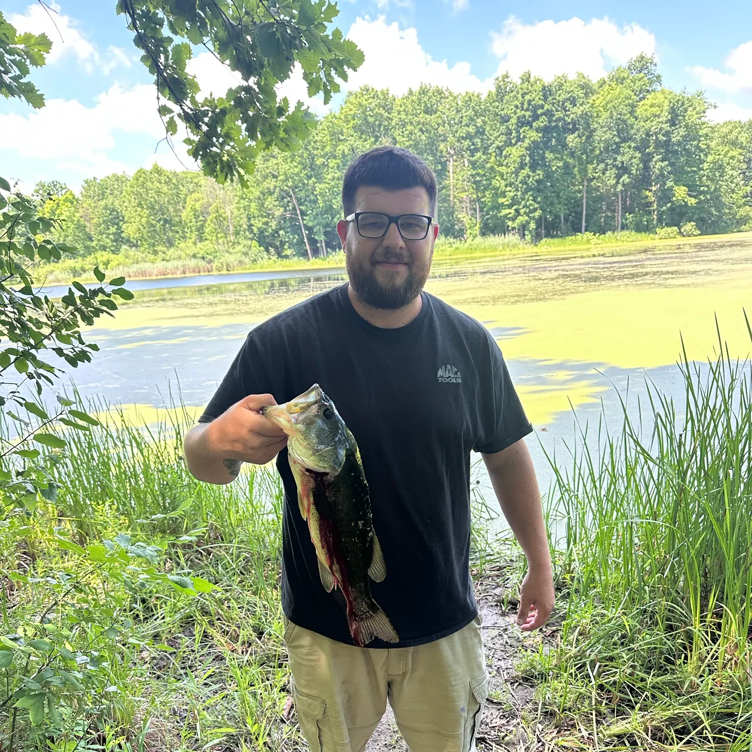 Largemouth bass caught on Fishbrain