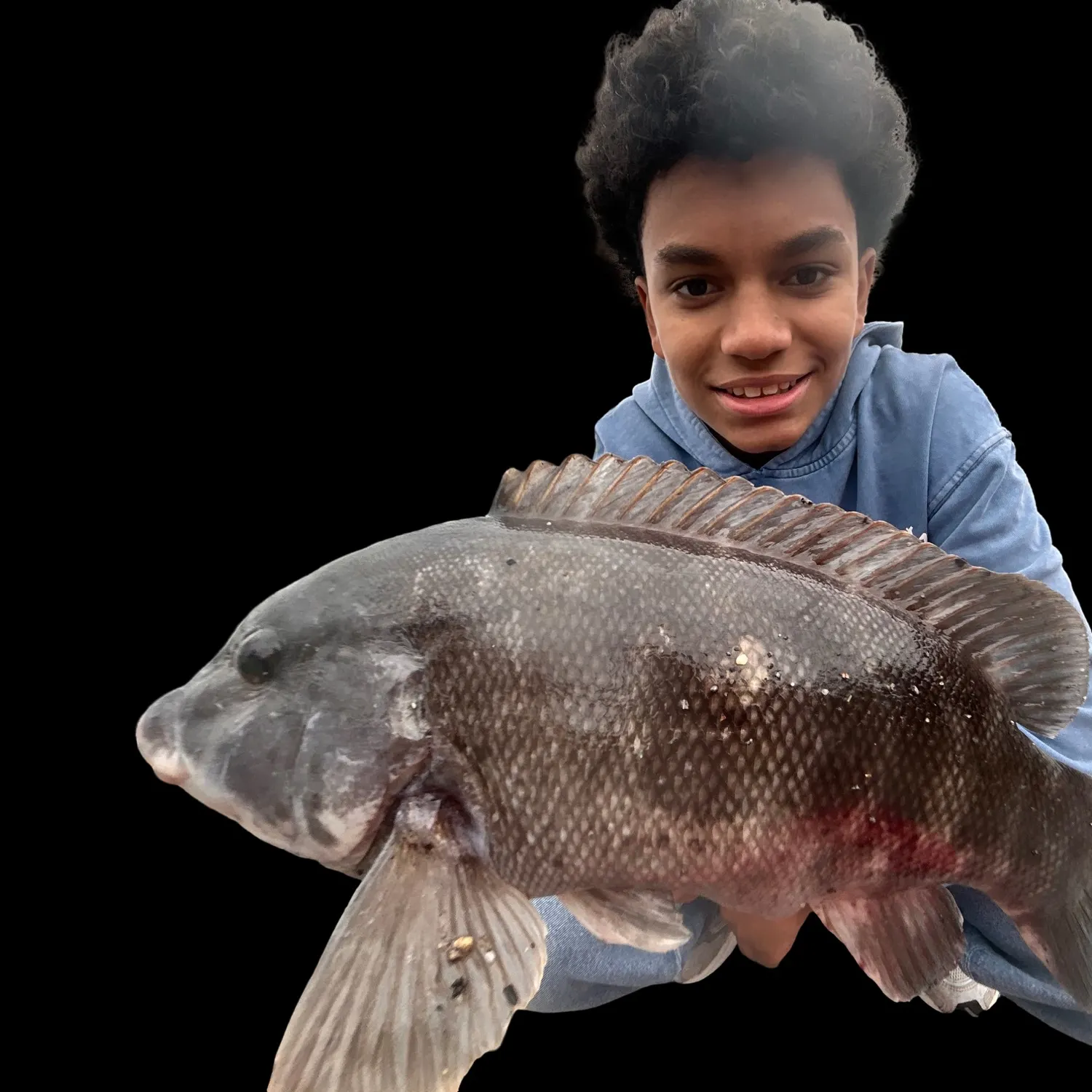 Tautog caught on Fishbrain