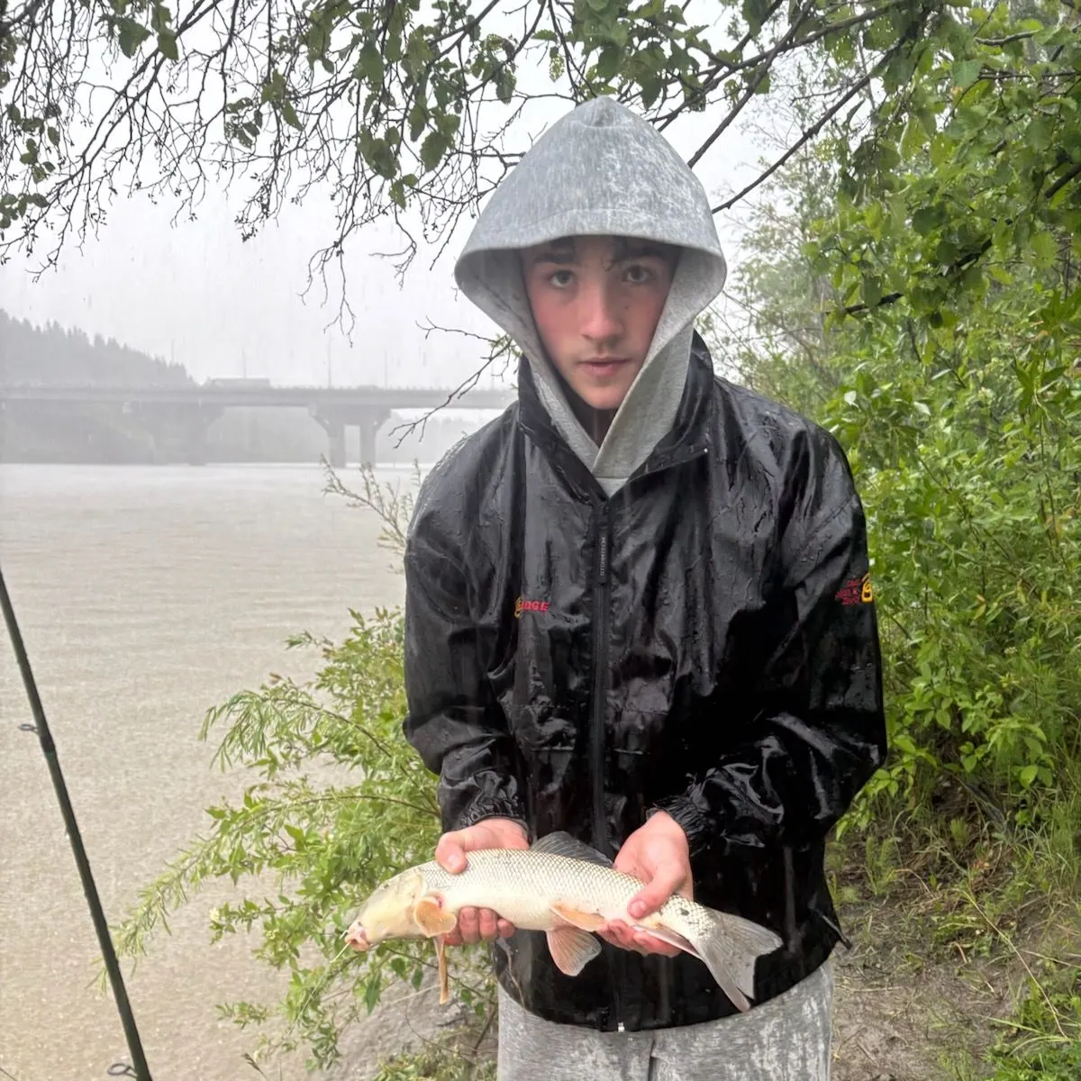 The most recent Longnose sucker catches on Fishbrain