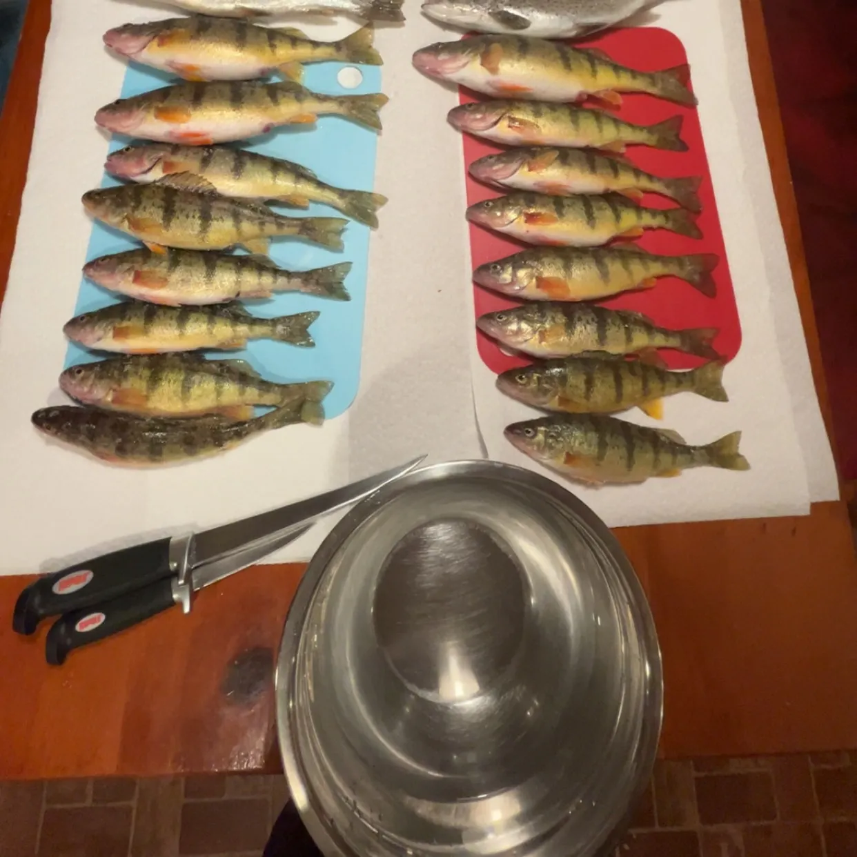 recently logged catches