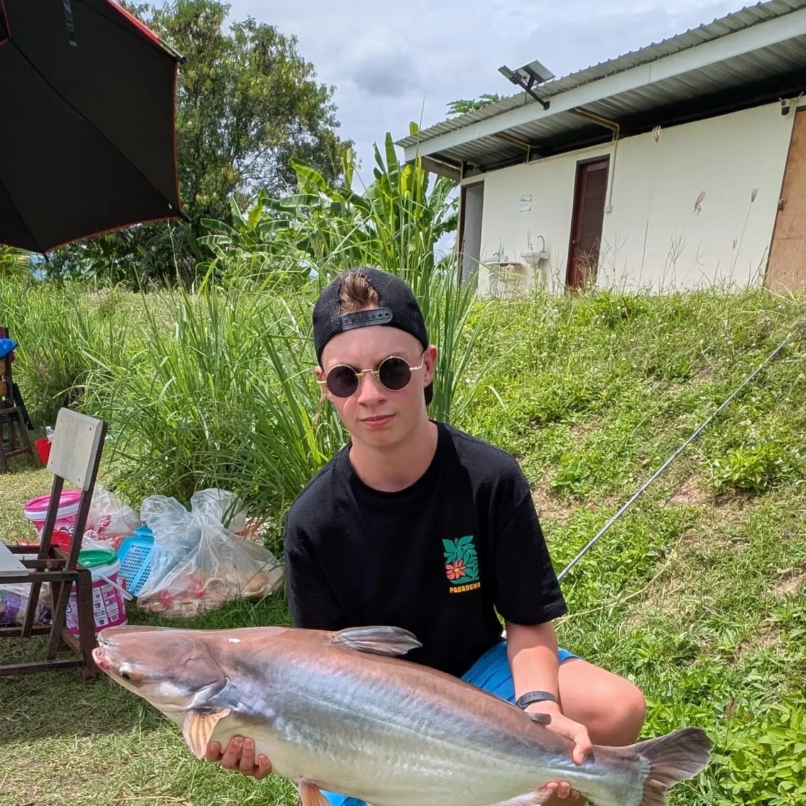 The most recent Mekong giant catfish catches on Fishbrain