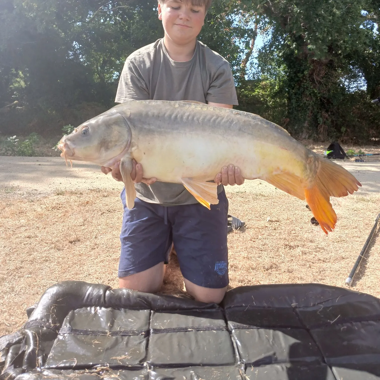 Leather carp caught on Fishbrain