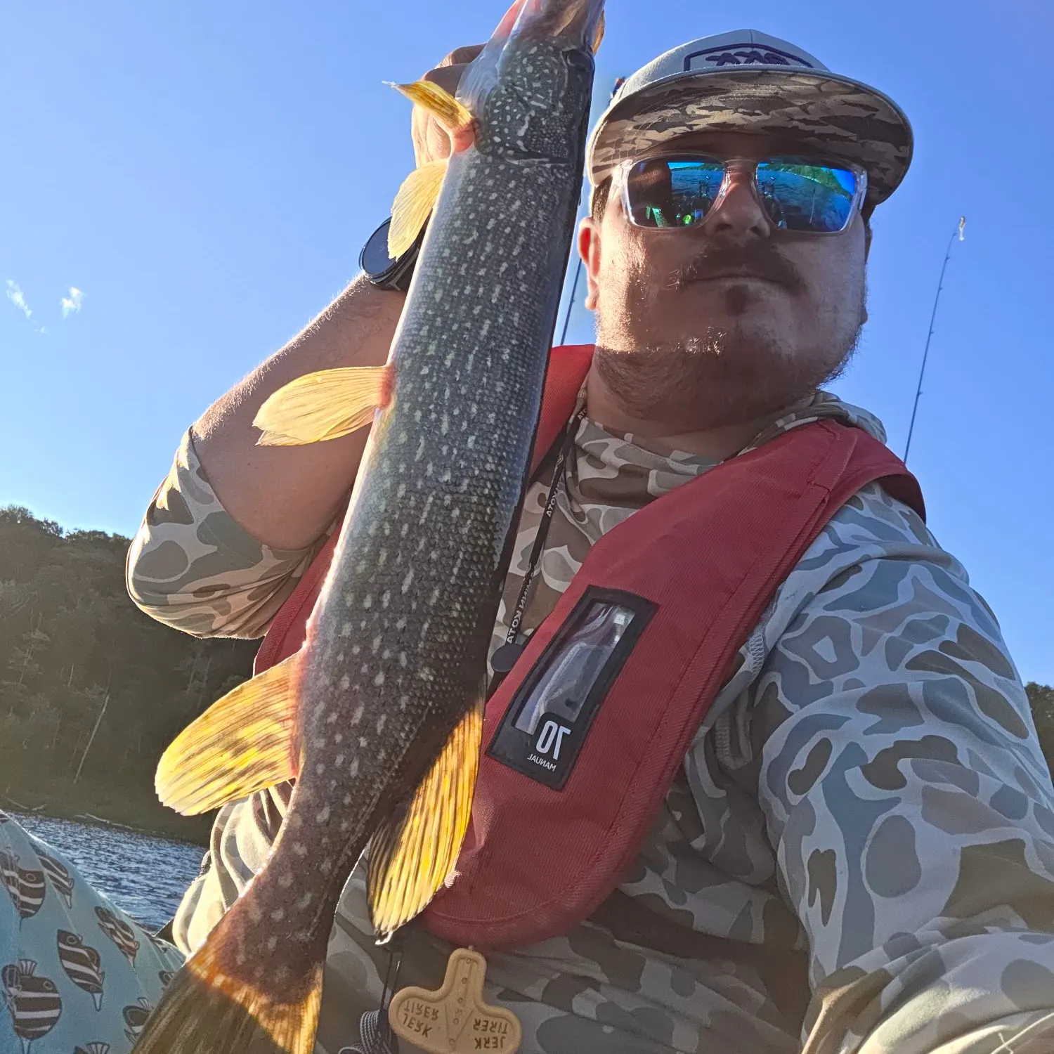Northern pike caught on Fishbrain